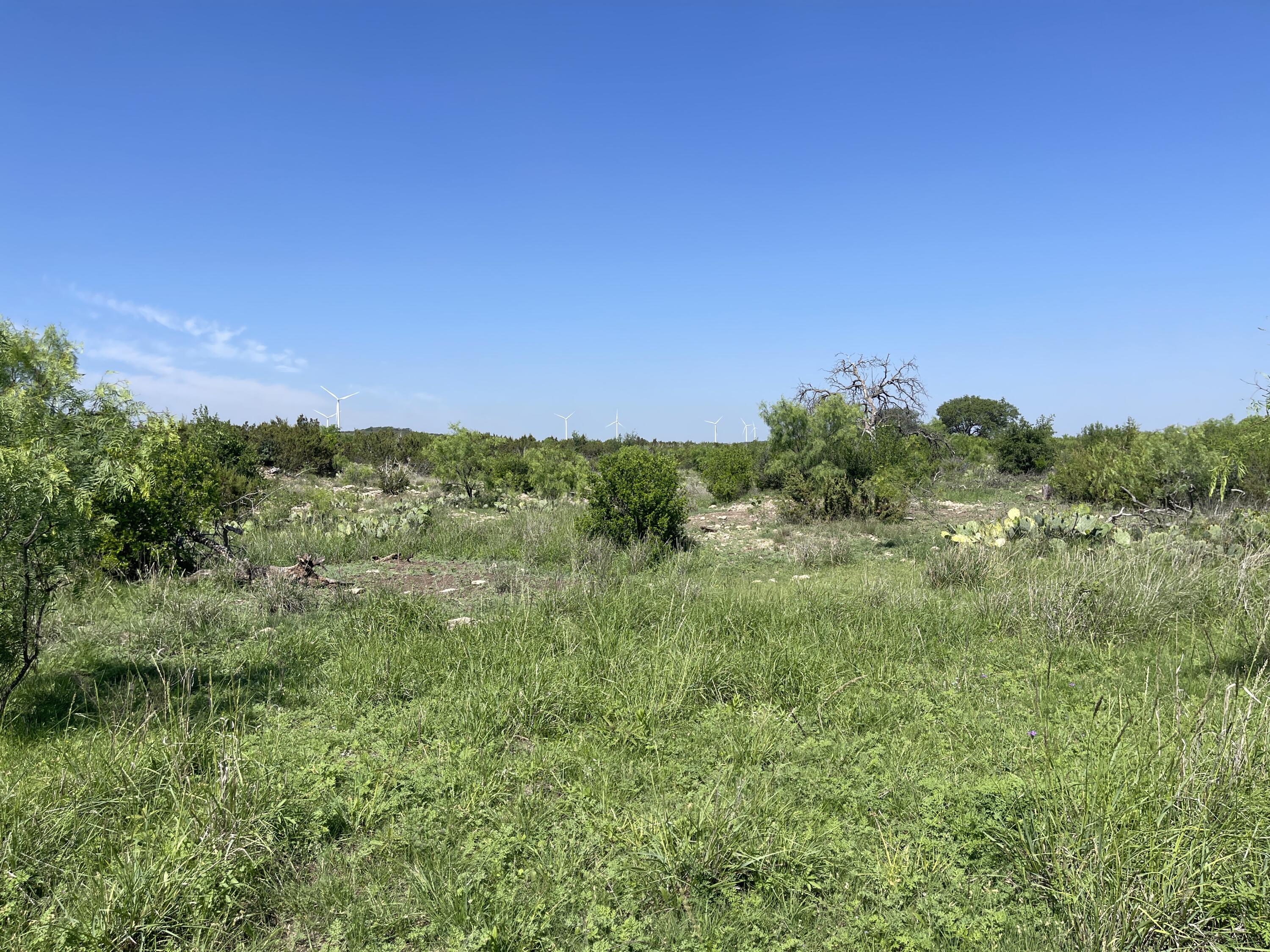 9534 Duff Road Property Photo 6
