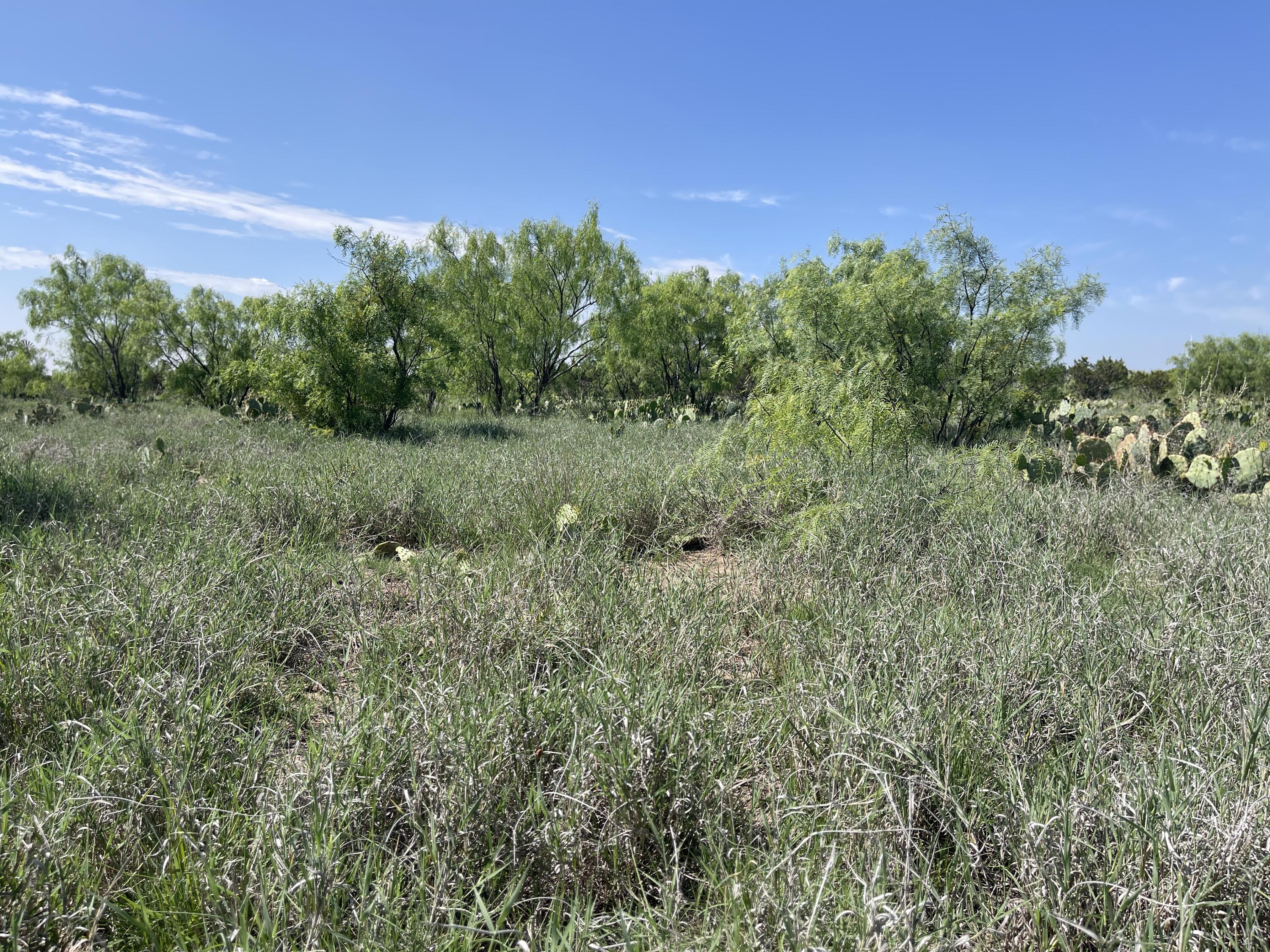 9534 Duff Road Property Photo 8