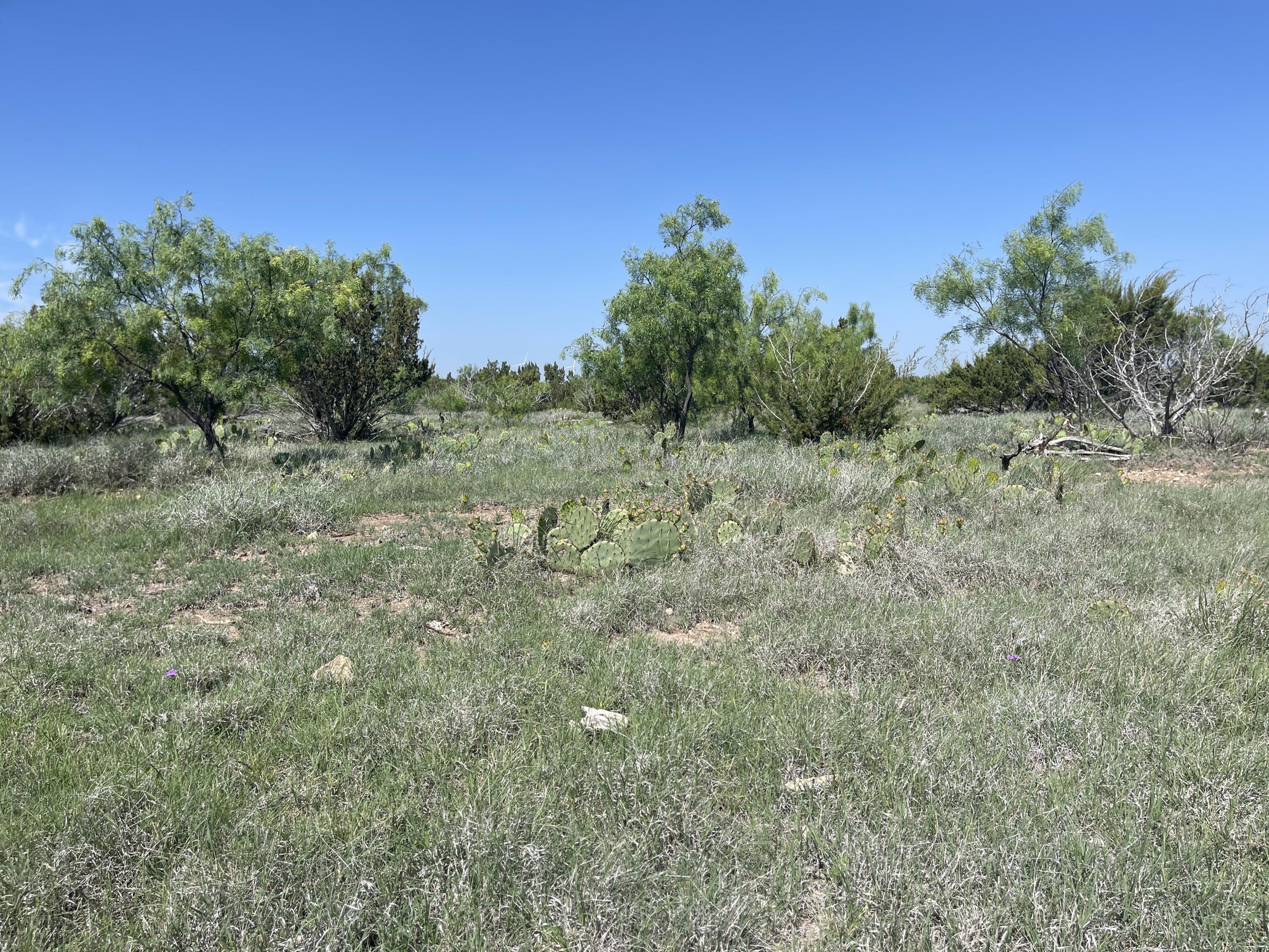 9534 Duff Road Property Photo 9