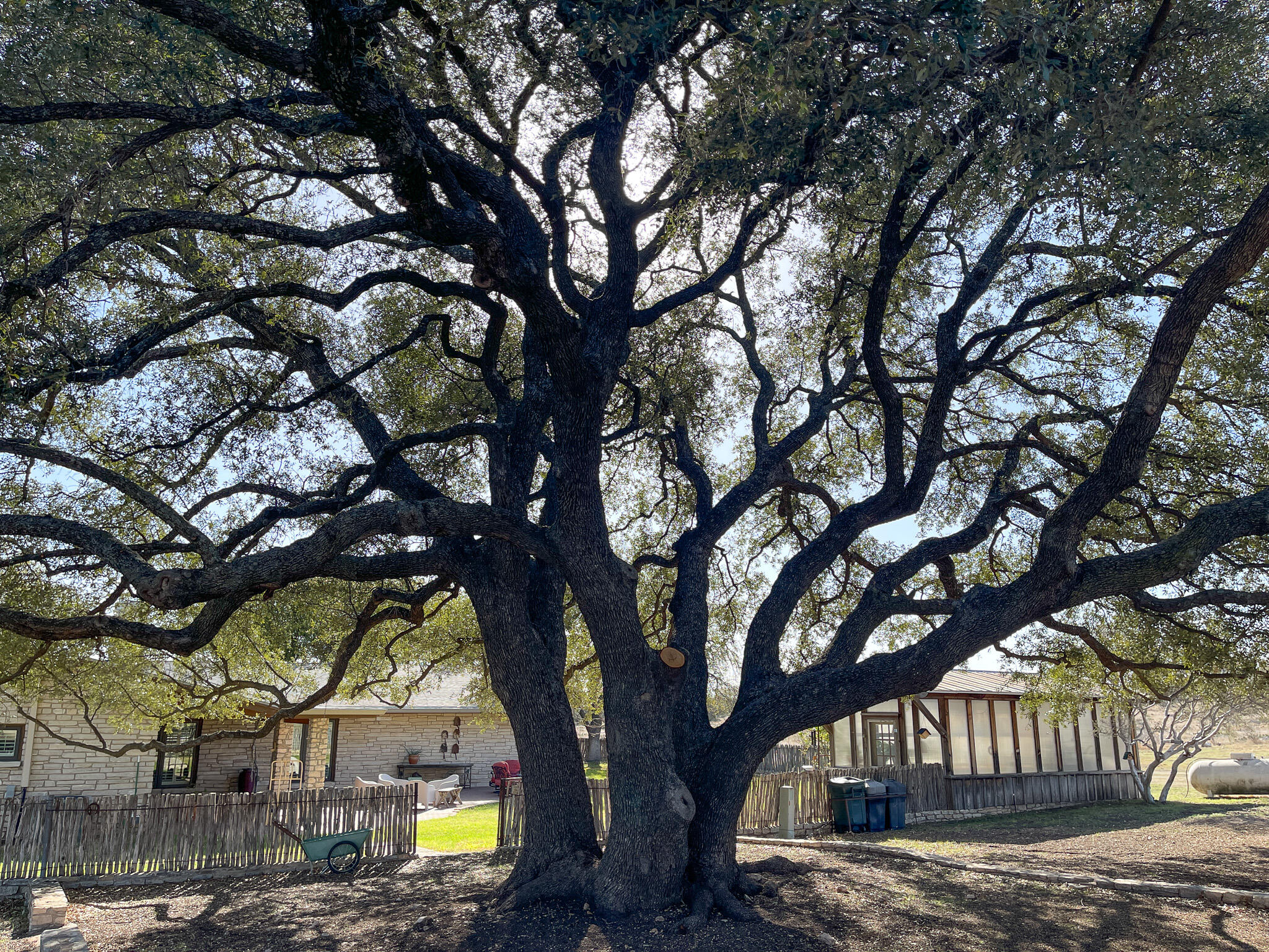 9534 Duff Road Property Photo 38