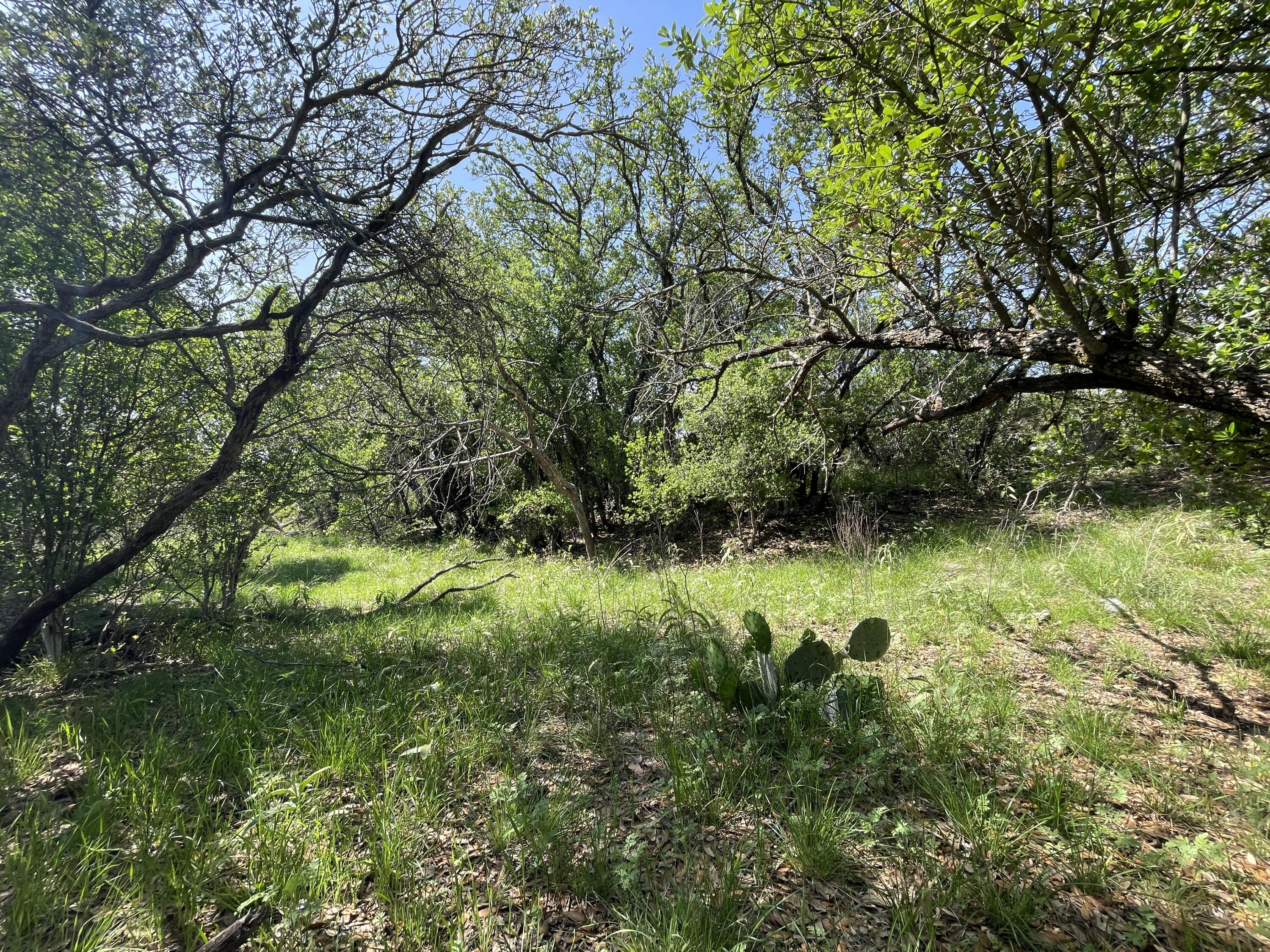 9534 Duff Road Property Photo 49