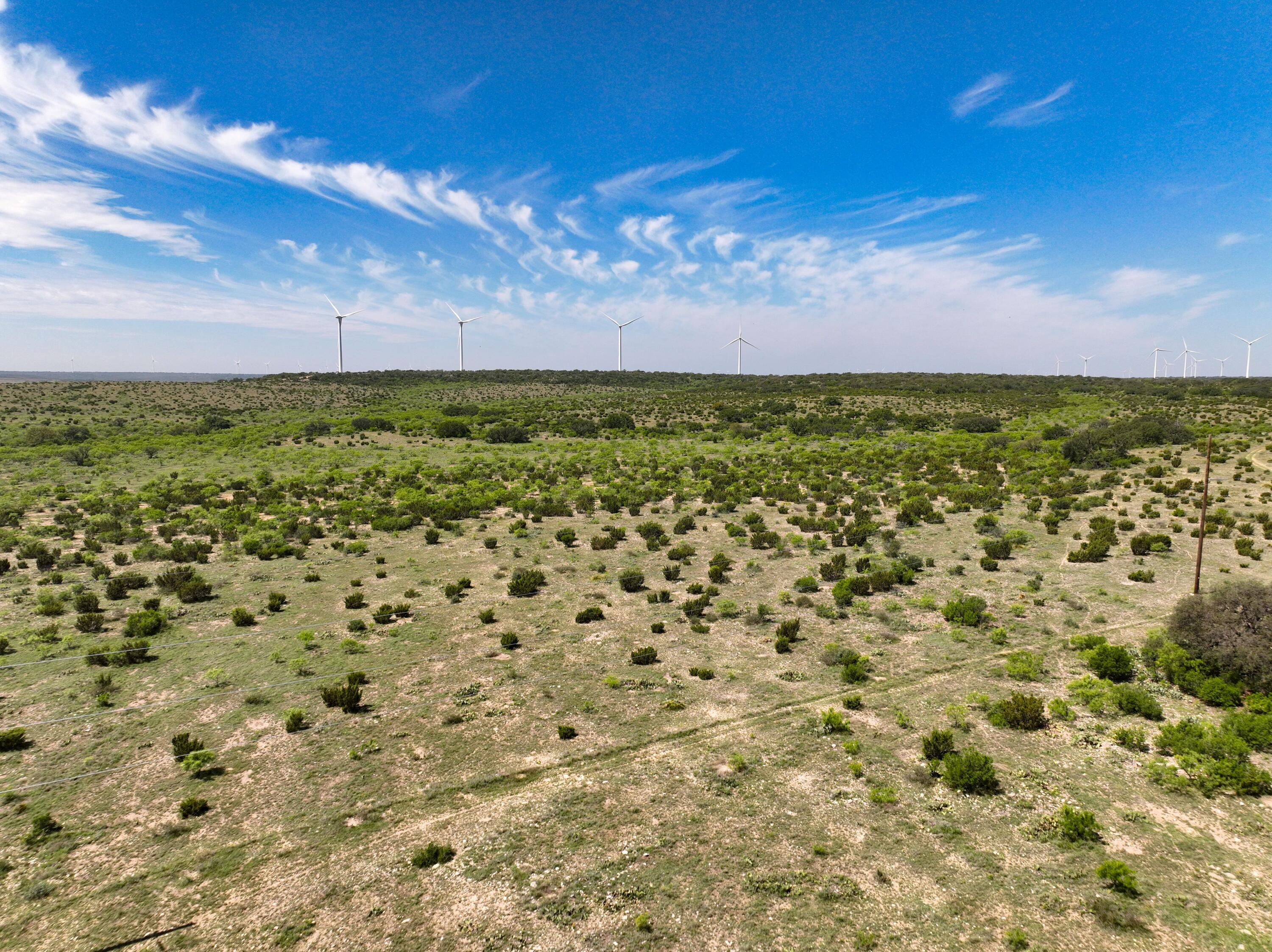 9534 Duff Road Property Photo 50