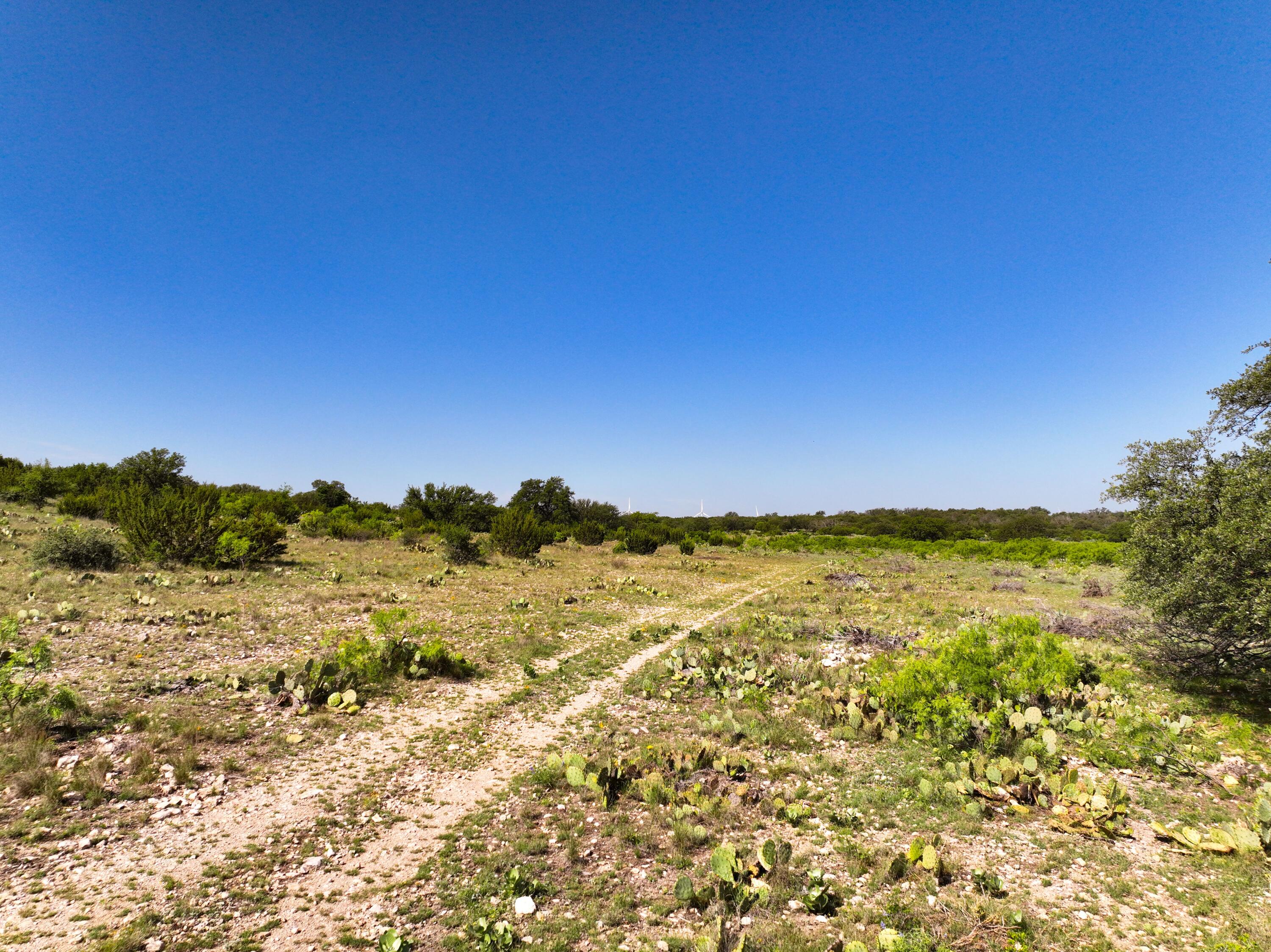 9534 Duff Road Property Photo 52