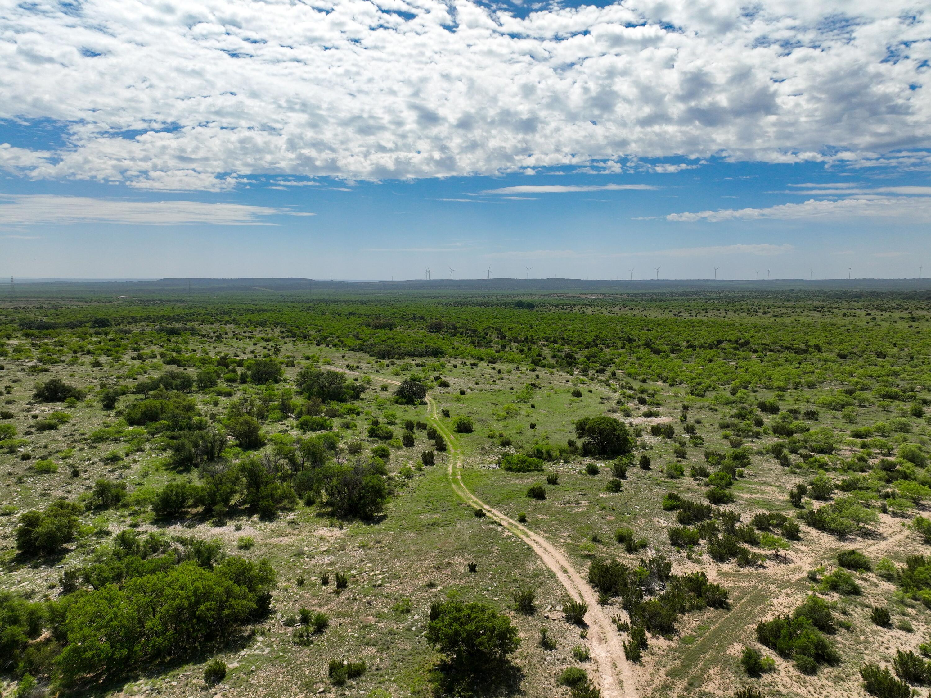 9534 Duff Road Property Photo 54