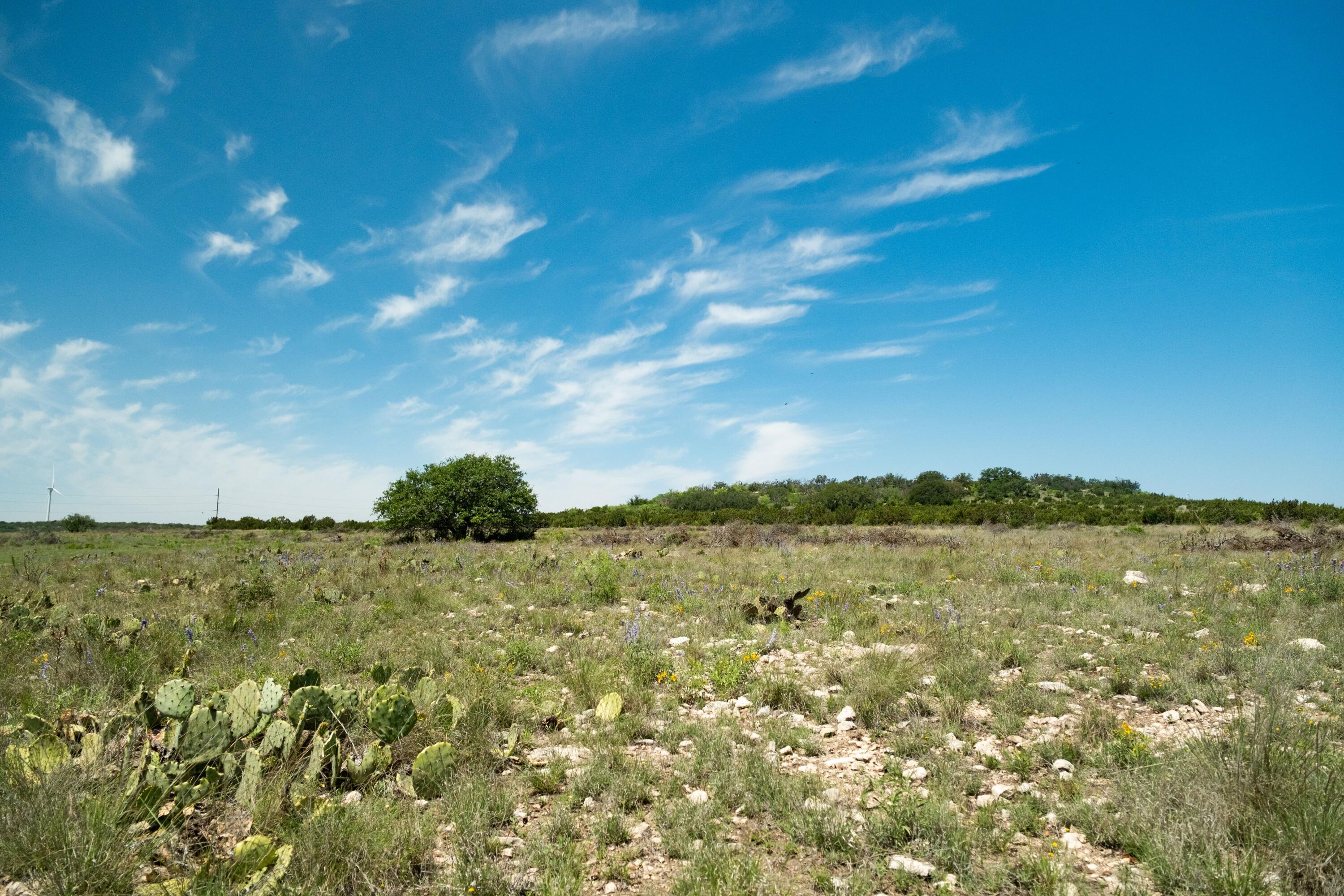 9534 Duff Road Property Photo 55