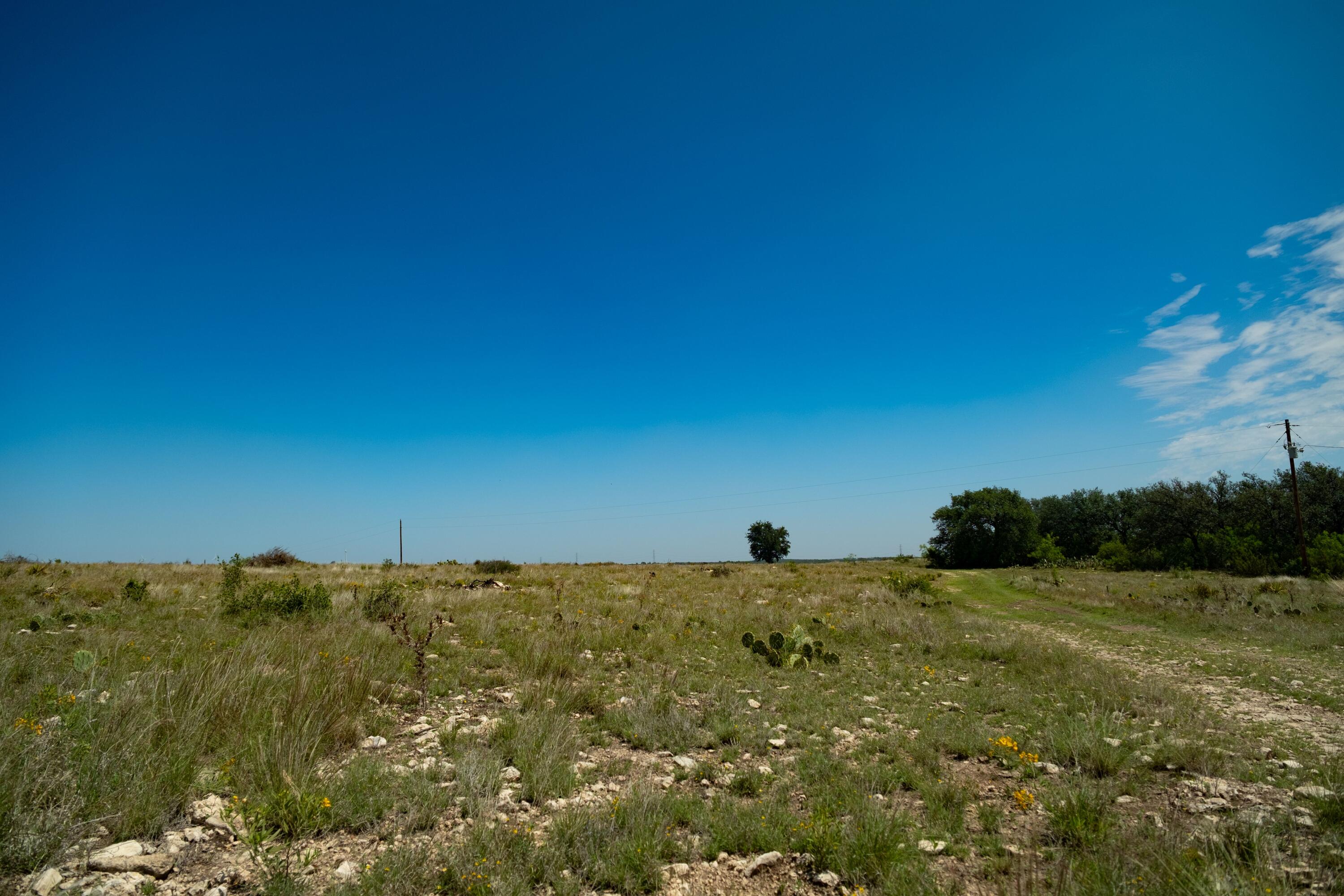 9534 Duff Road Property Photo 57