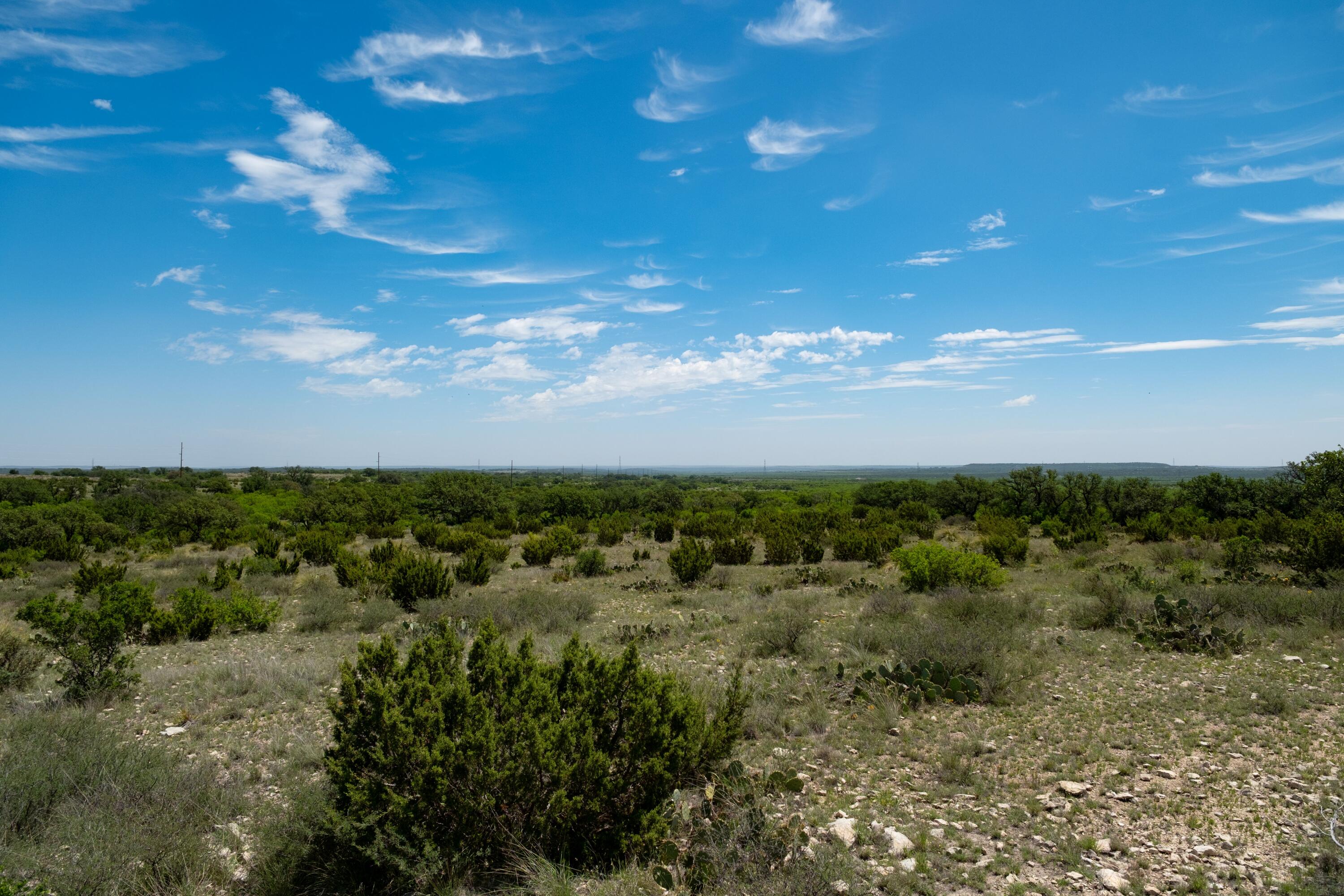9534 Duff Road Property Photo 58