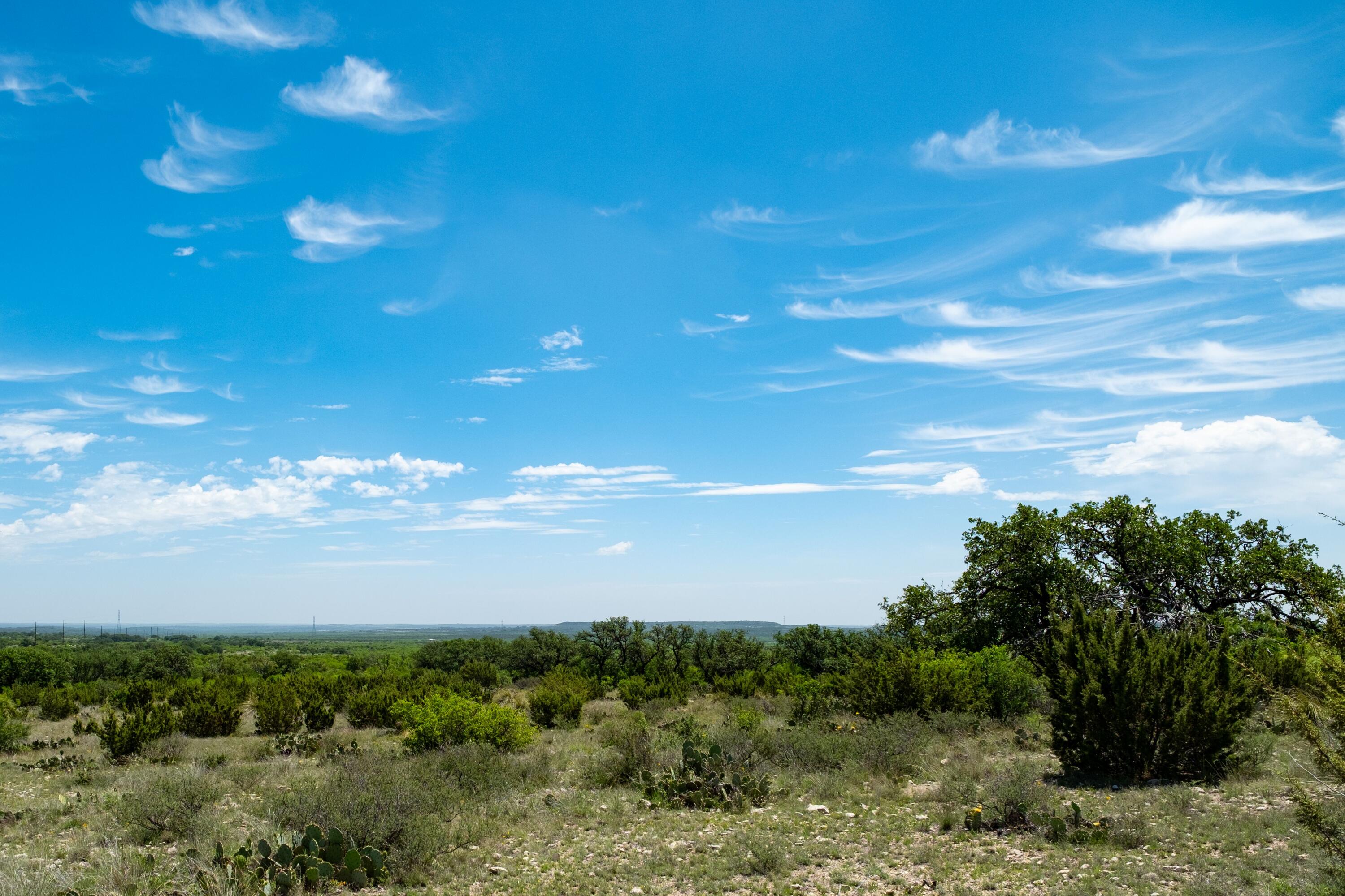 9534 Duff Road Property Photo 59