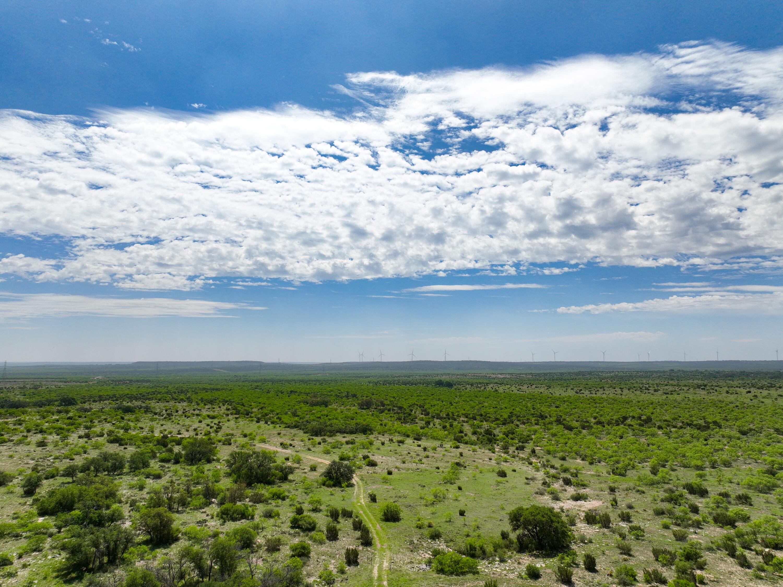 9534 Duff Road Property Photo 60