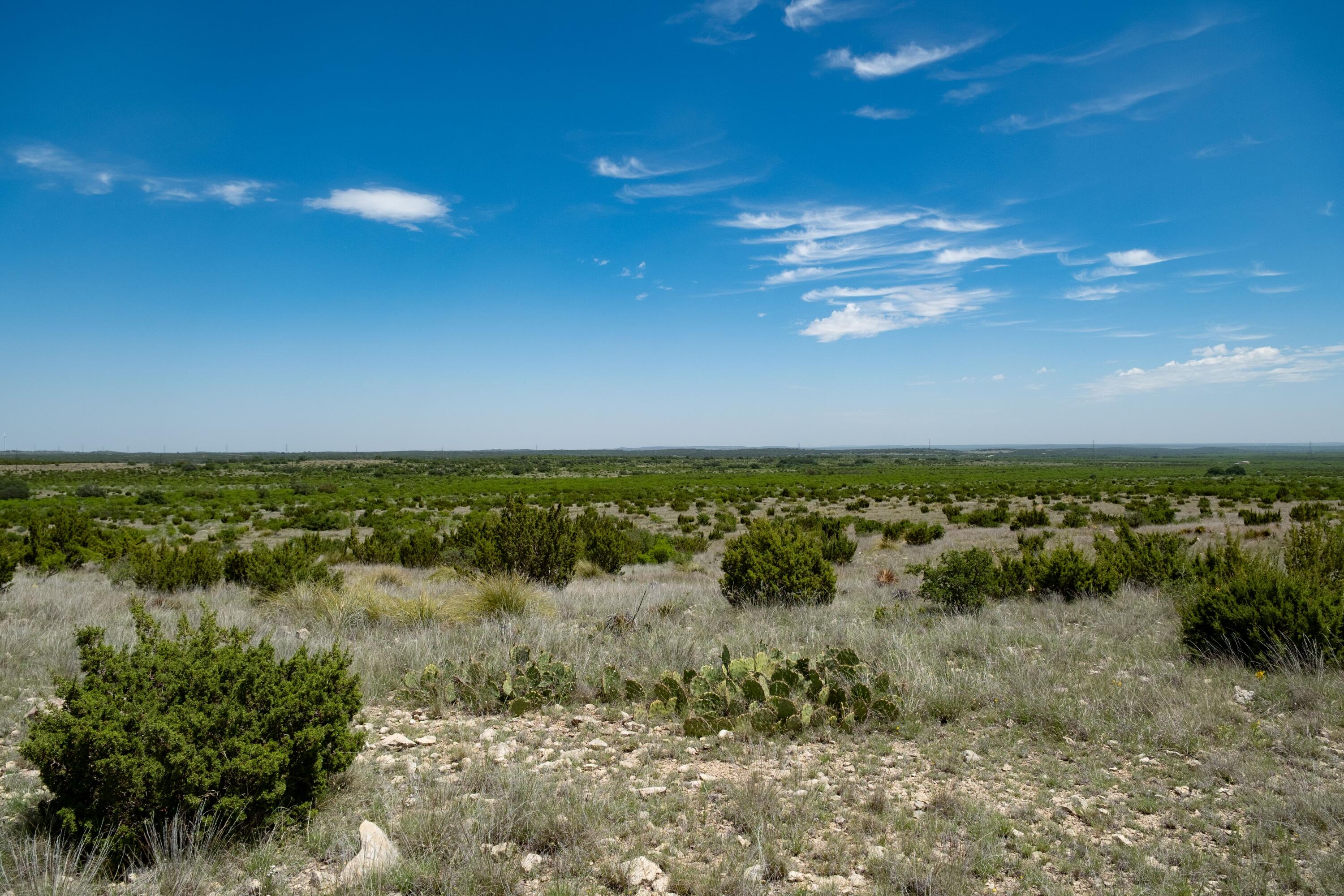 9534 Duff Road Property Photo 62