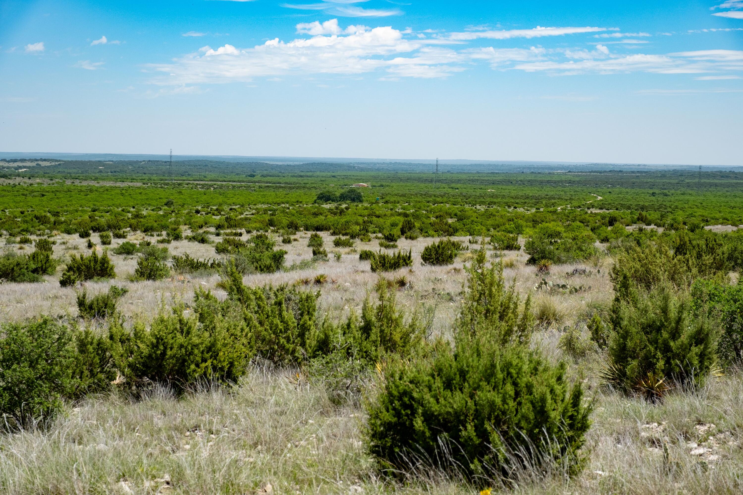 9534 Duff Road Property Photo 63