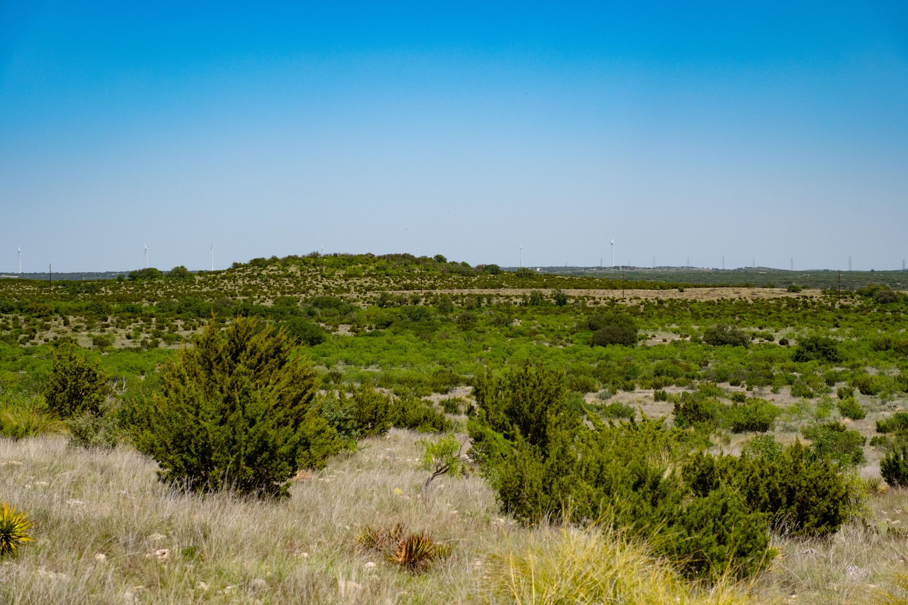 9534 Duff Road Property Photo 64