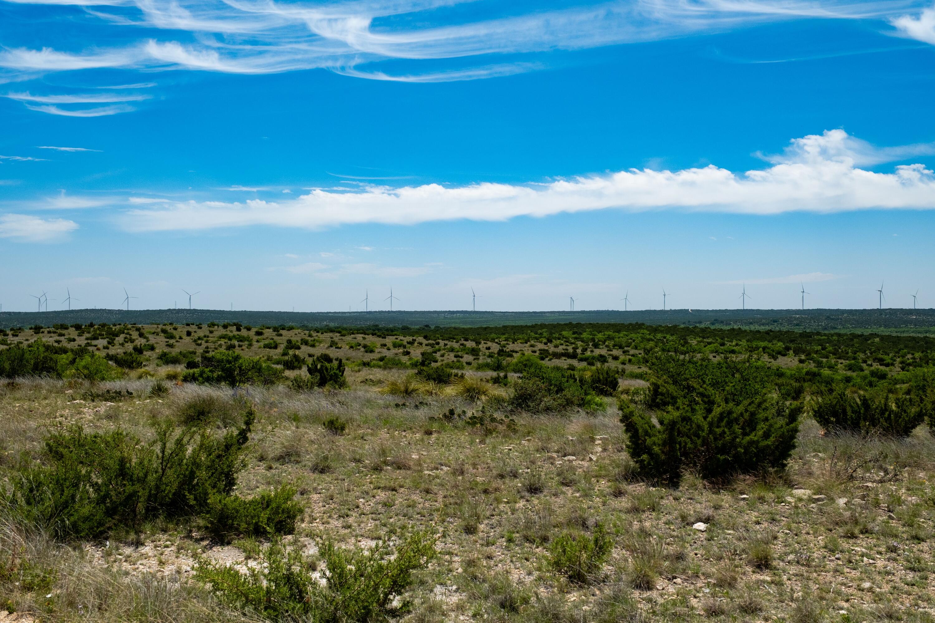 9534 Duff Road Property Photo 65
