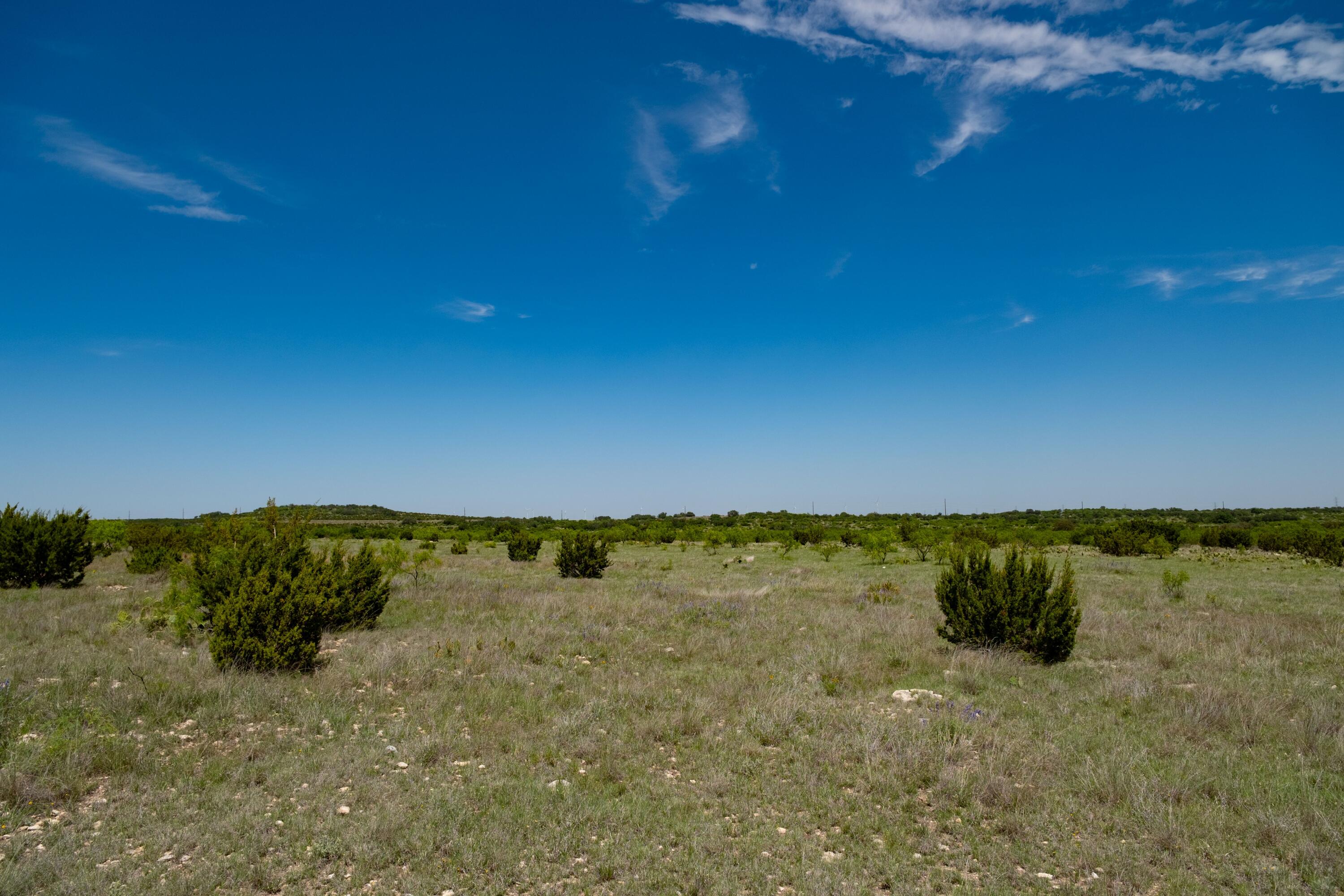 9534 Duff Road Property Photo 66