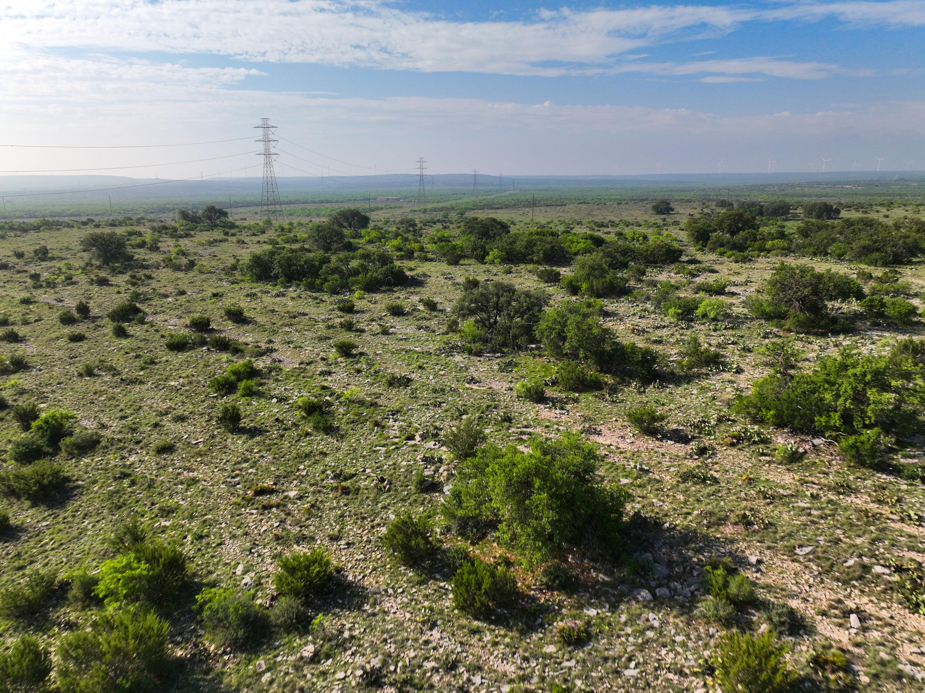 9534 Duff Road Property Photo 68