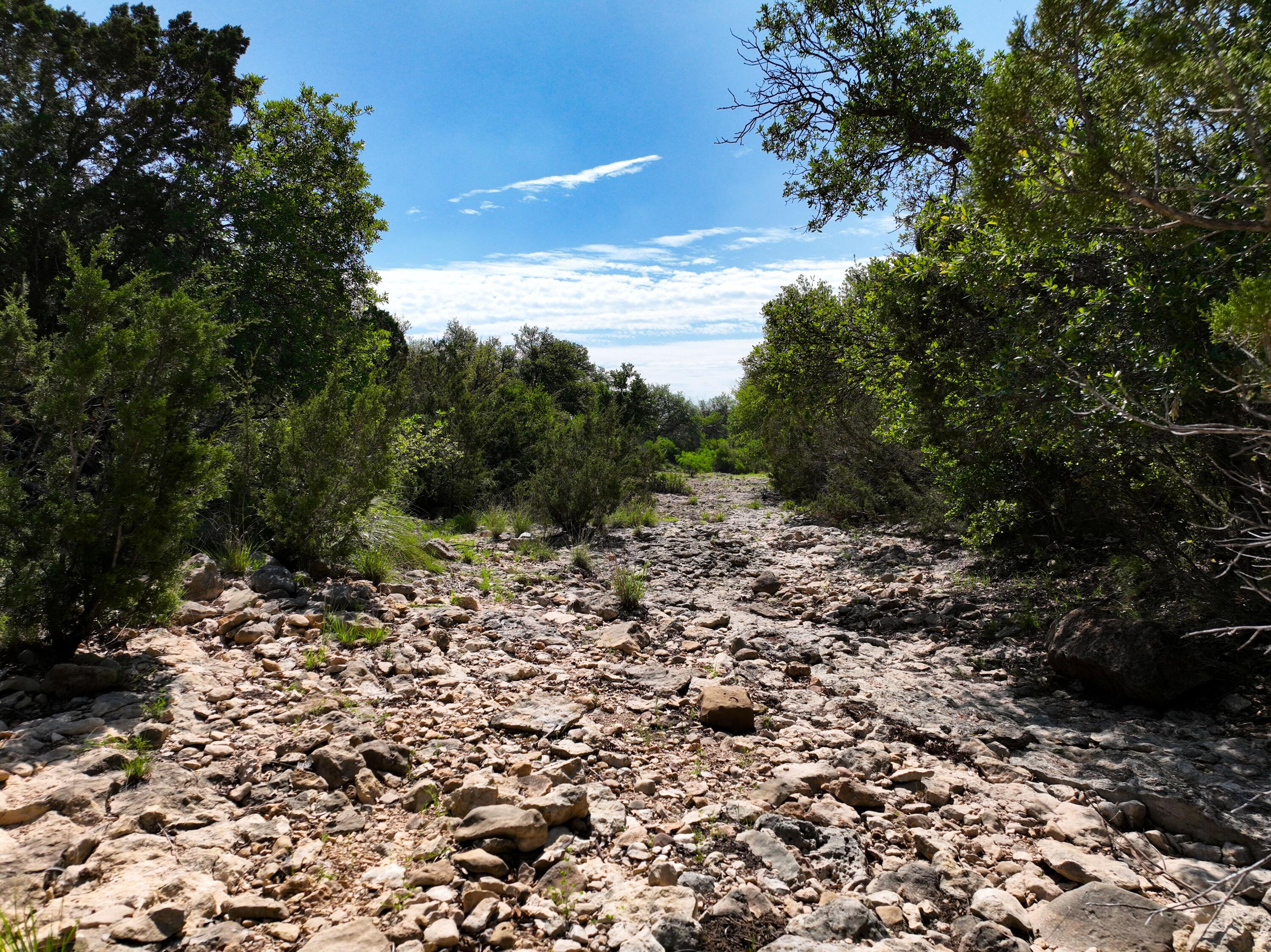 9534 Duff Road Property Photo 70