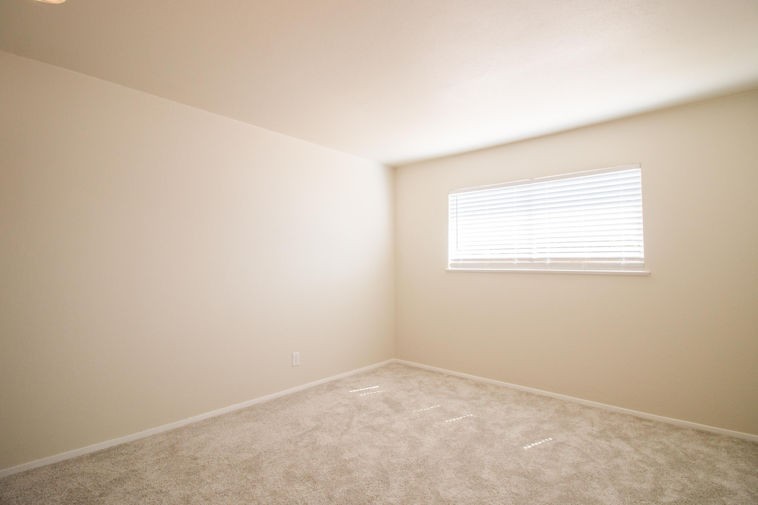 234 Mockingbird Lane Property Photo 17