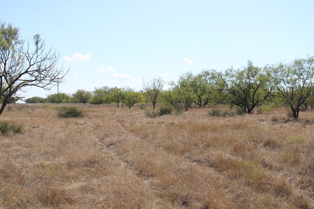 0 County Rd 130 Highway Property Photo 2
