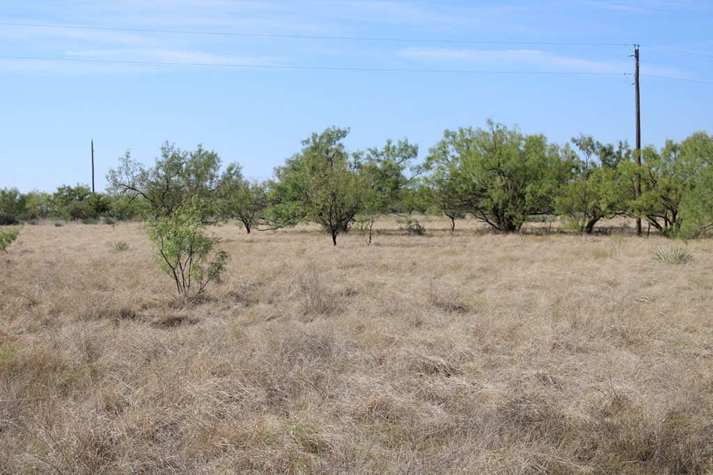 0 County Rd 130 Highway Property Photo 4