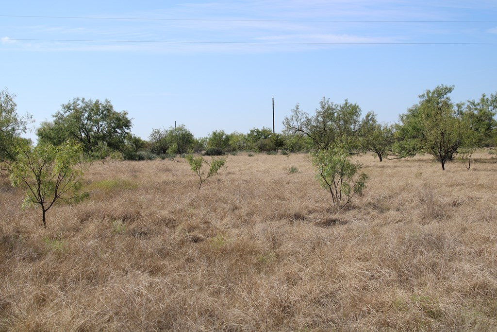 0 County Rd 130 Highway Property Photo 5