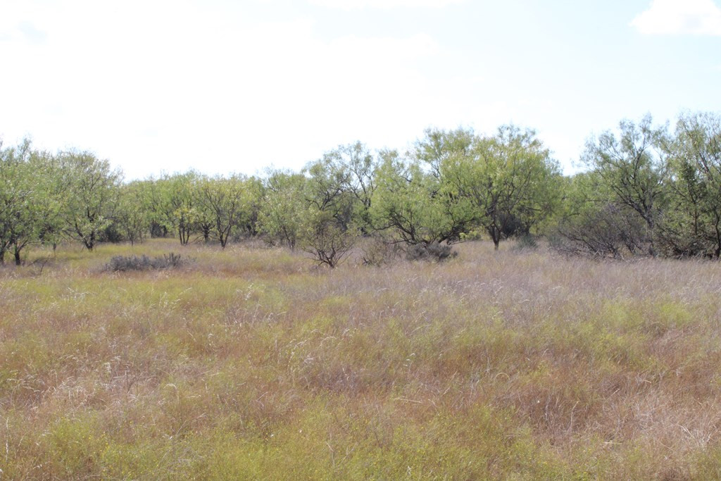 0 County Rd 130 Highway Property Photo 15