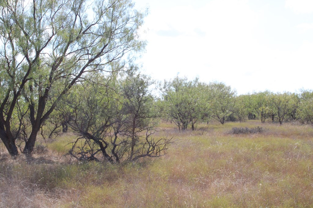 0 County Rd 130 Highway Property Photo 16