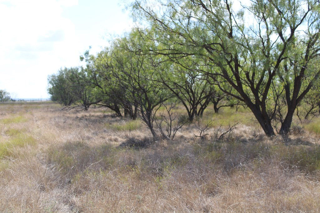 0 County Rd 130 Highway Property Photo 17