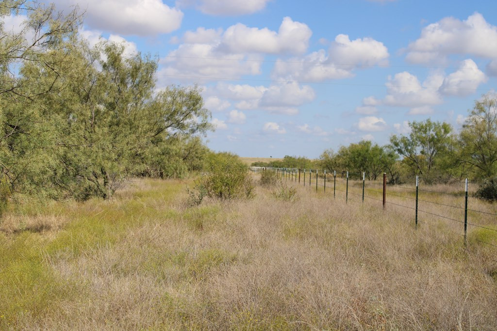 0 County Rd 130 Highway Property Photo 19