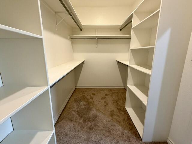 2914 Ricks Drive Property Photo 10