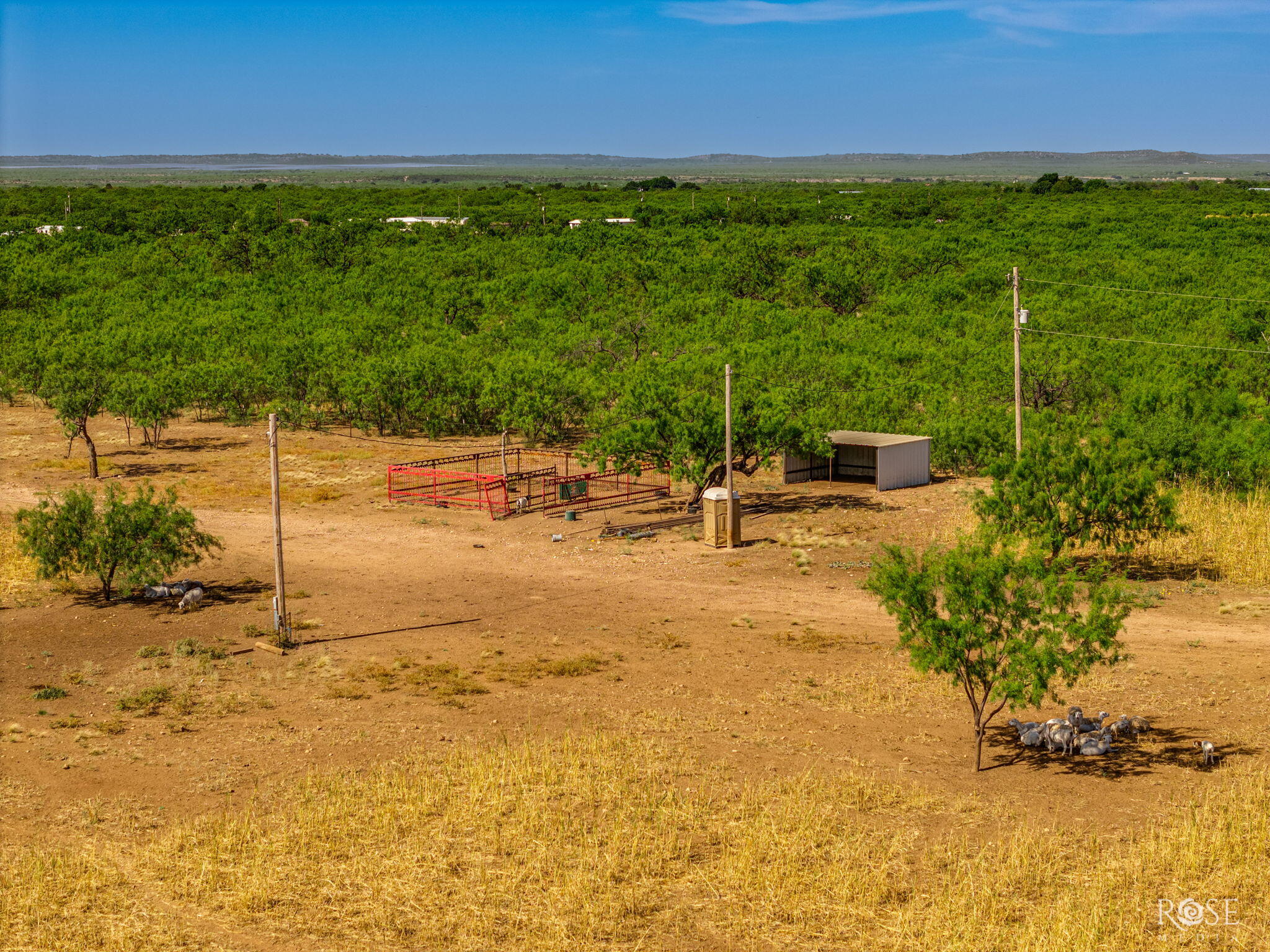 8385 W Grape Creek Road Property Photo 5