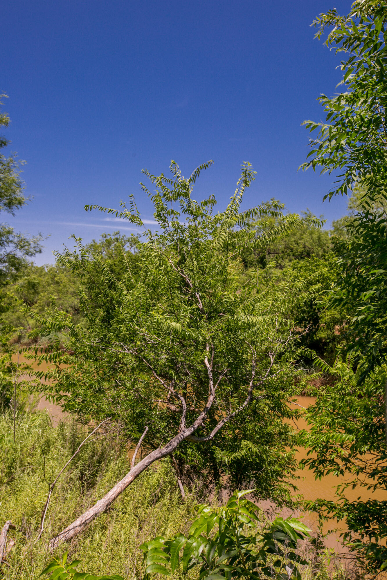 281 2884 Property Photo 34