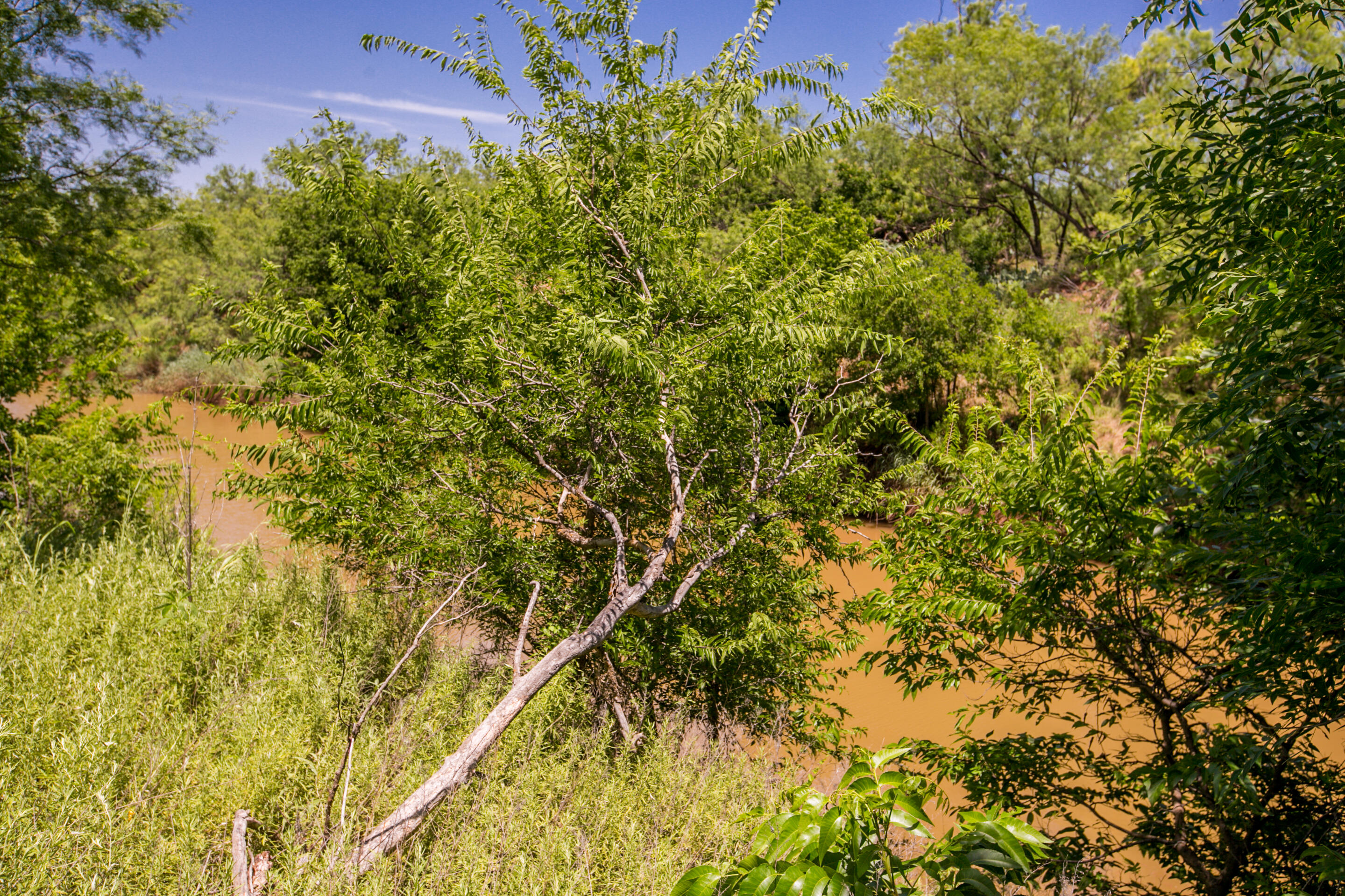281 2884 Property Photo 35