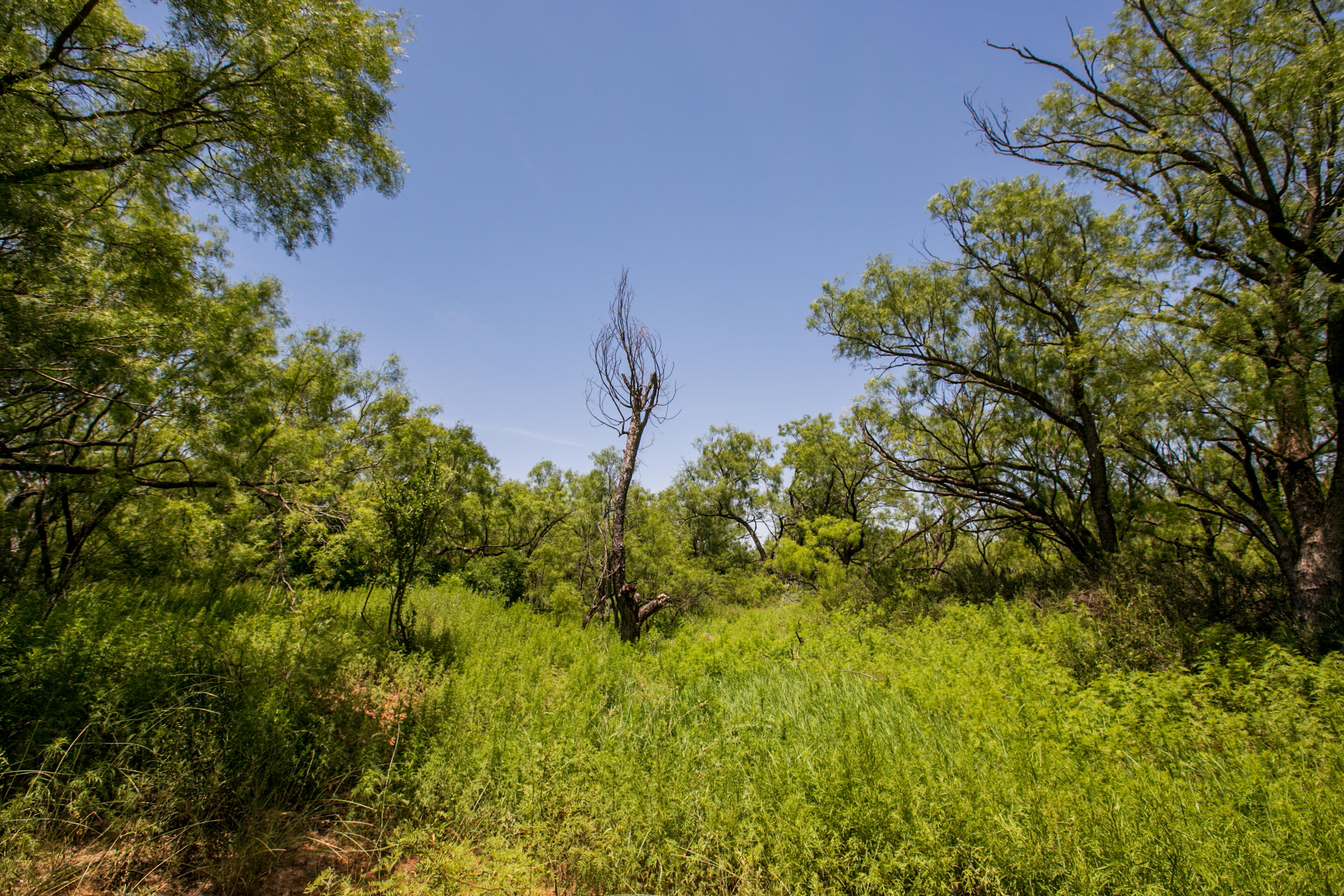 281 2884 Property Photo 36
