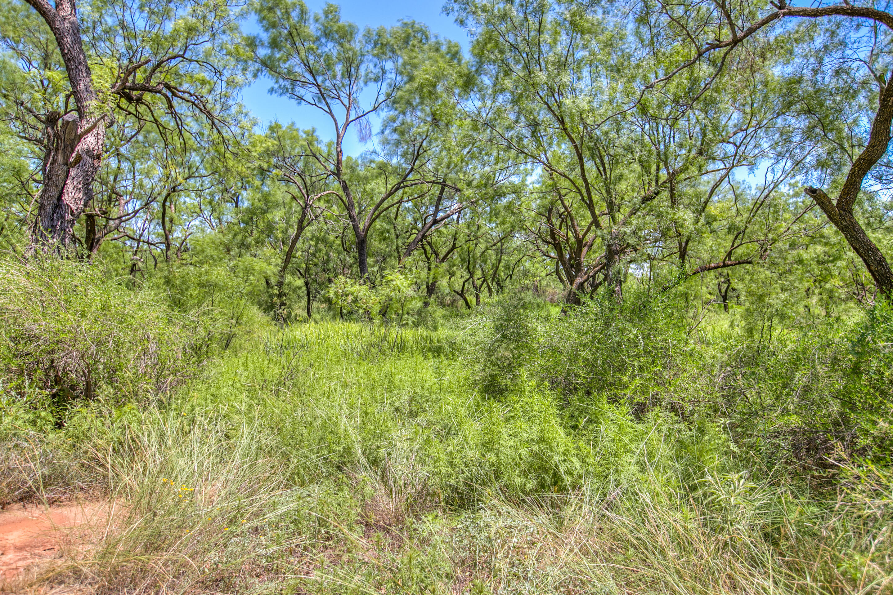 281 2884 Property Photo 37