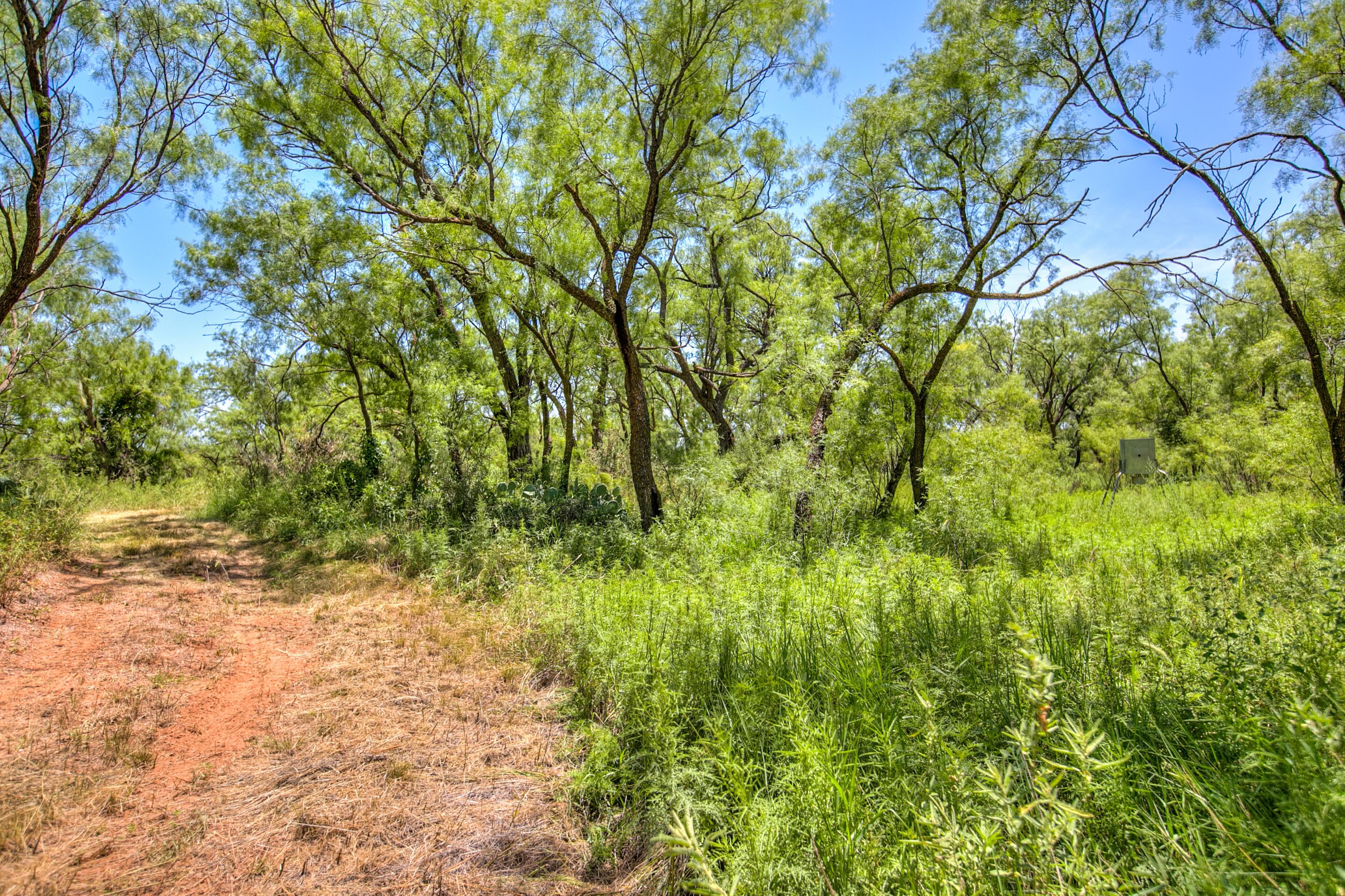 281 2884 Property Photo 40