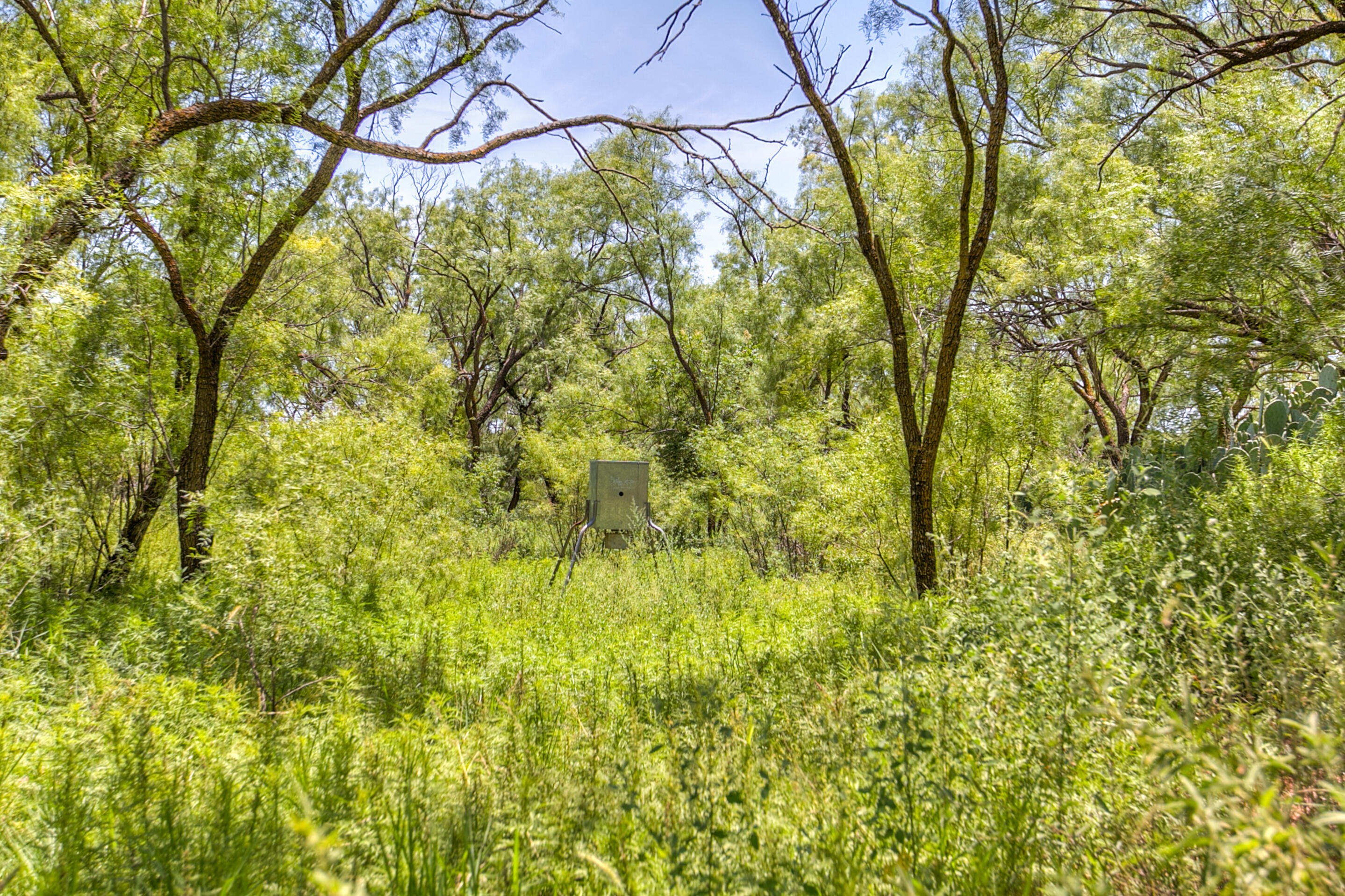 281 2884 Property Photo 43