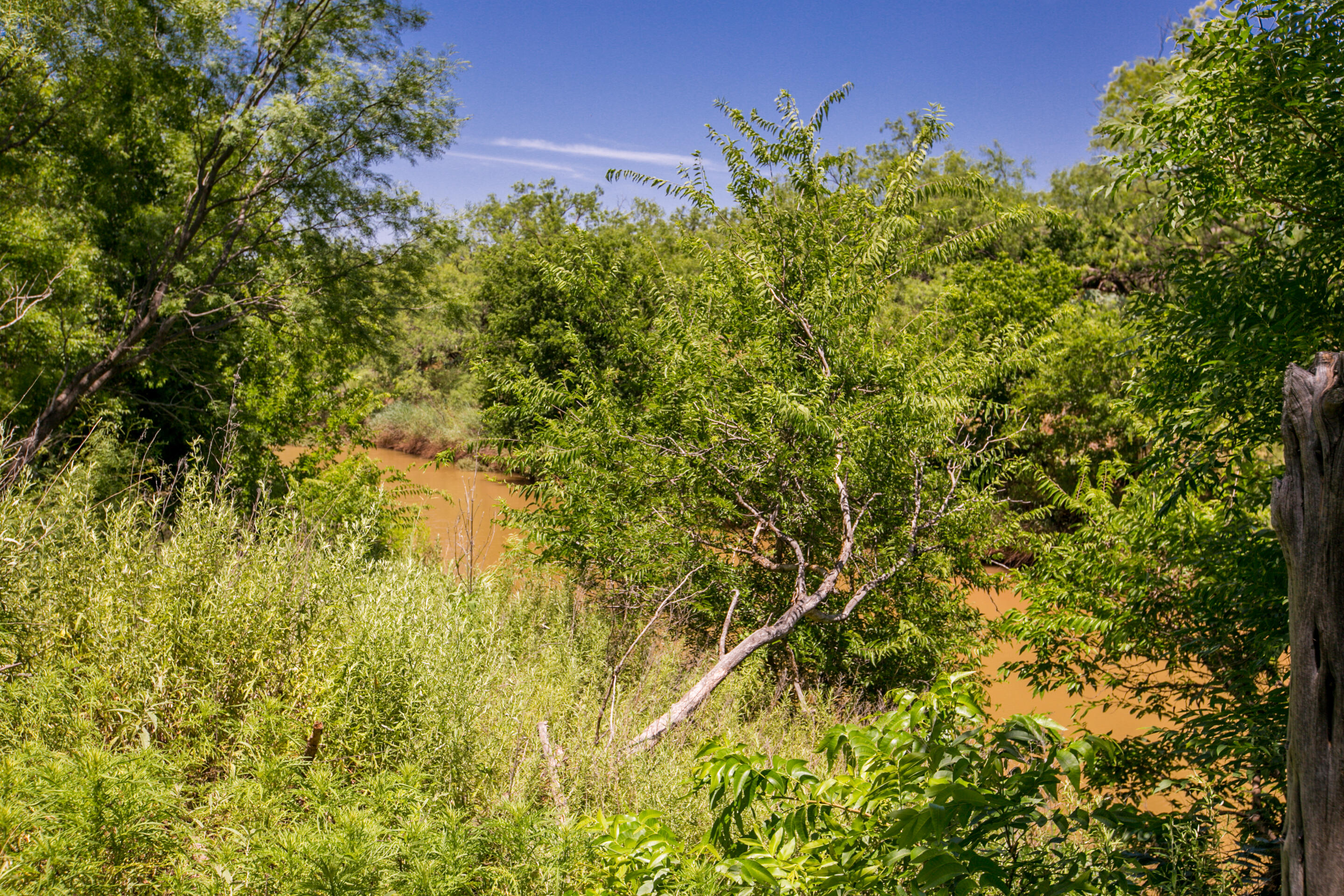 281 2884 Property Photo 44