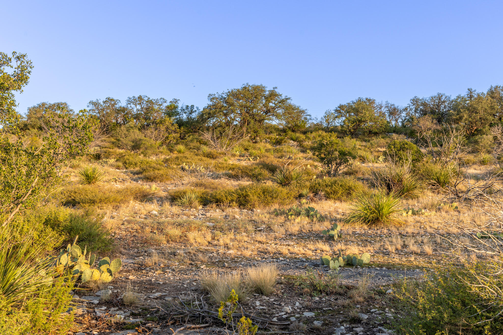 Tbd Windmill Road Property Photo 4