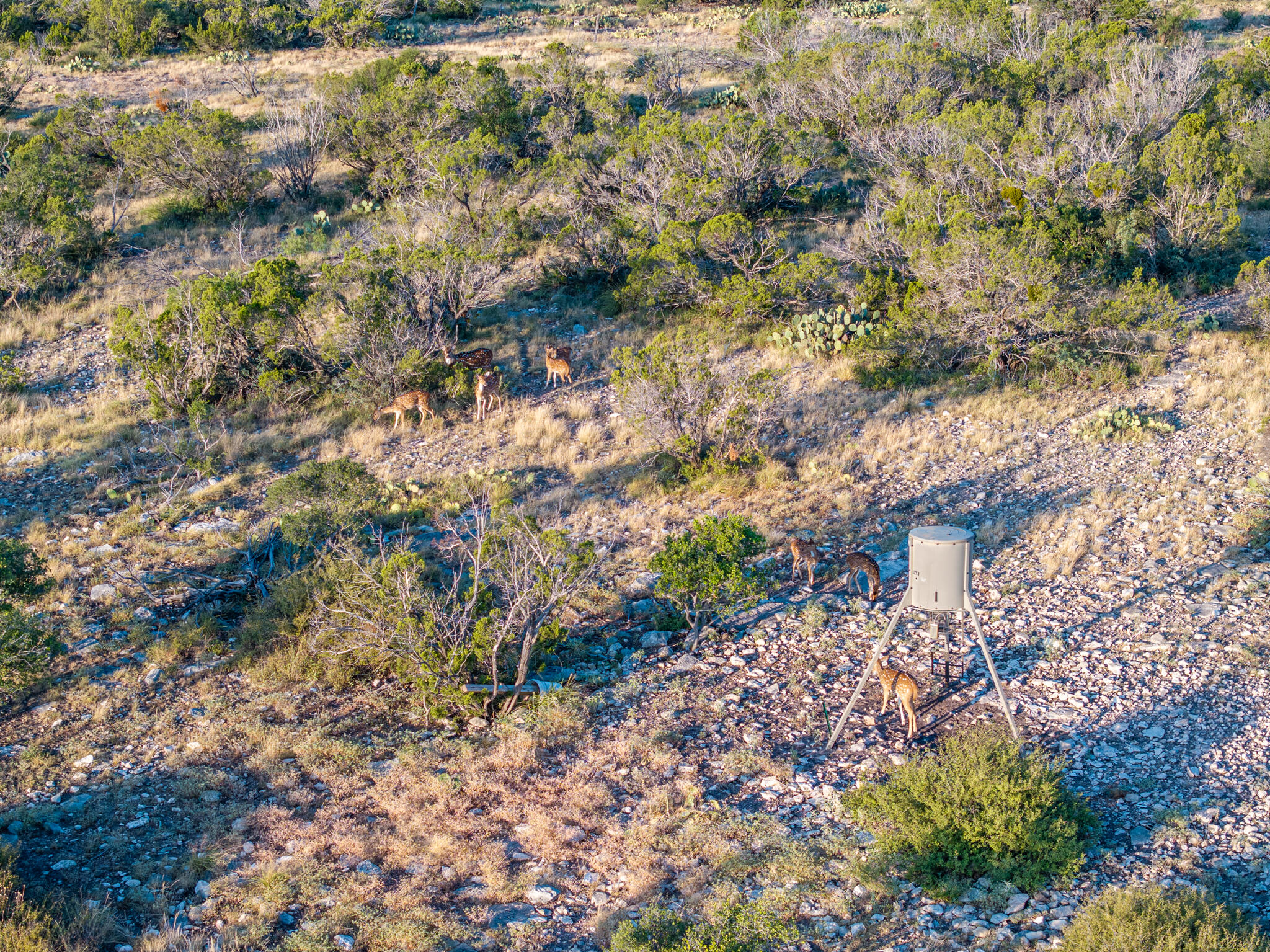 Tbd Windmill Road Property Photo 6