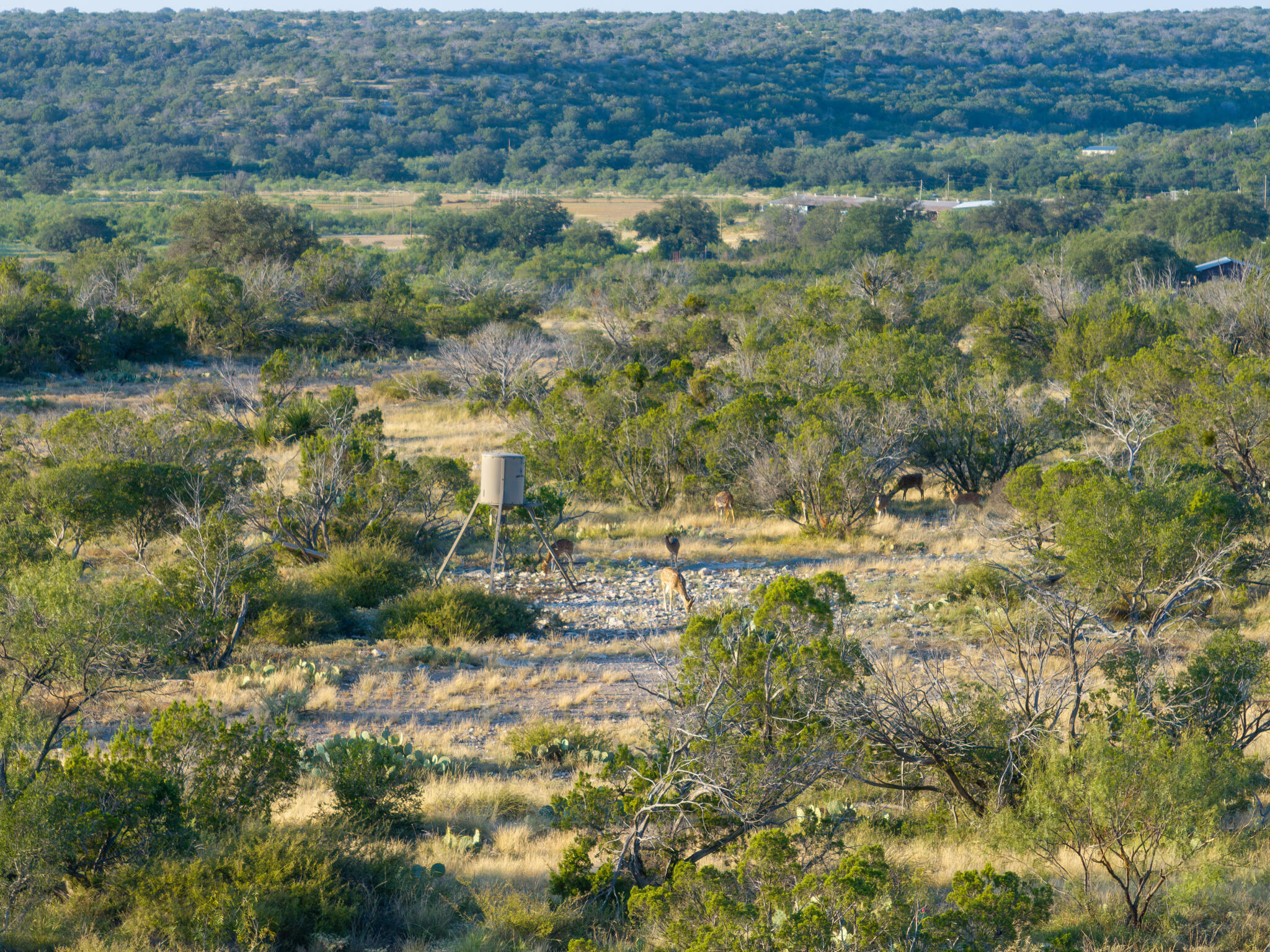 Tbd Windmill Road Property Photo 7