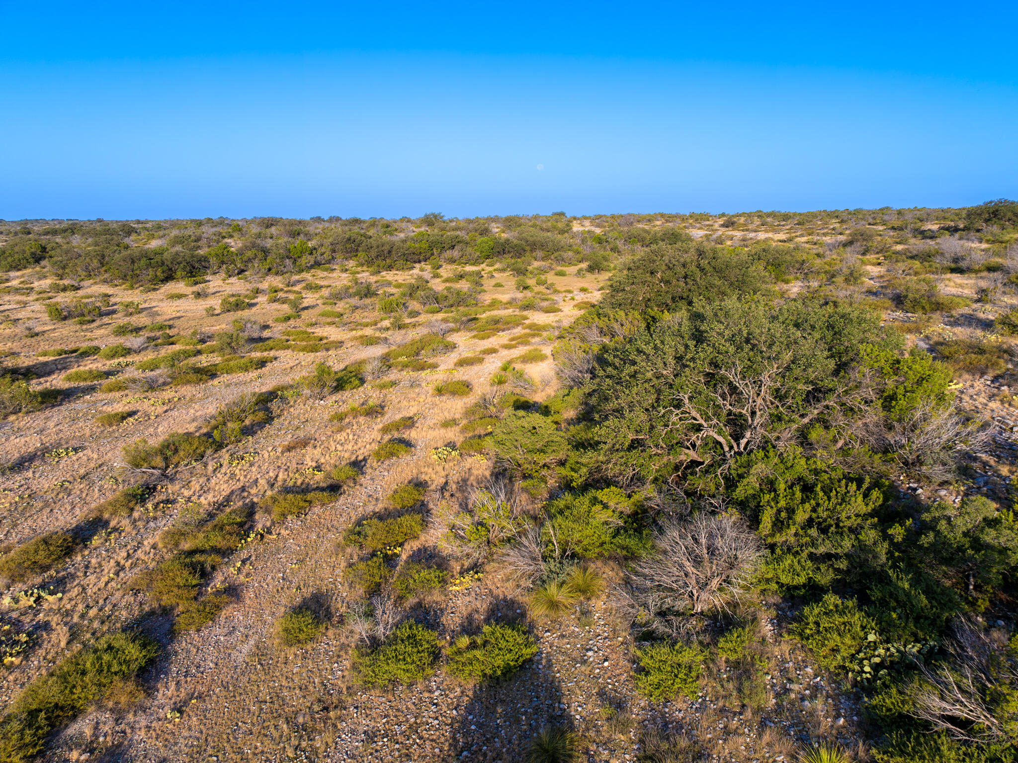 Tbd Windmill Road Property Photo 8