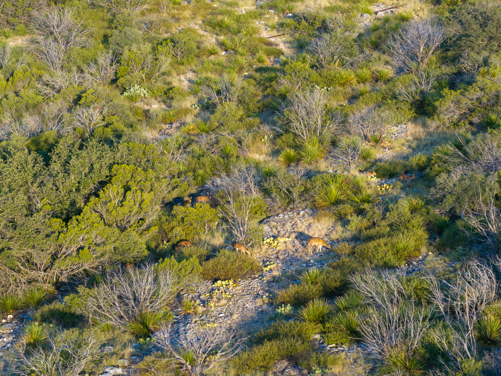Tbd Windmill Road Property Photo 10