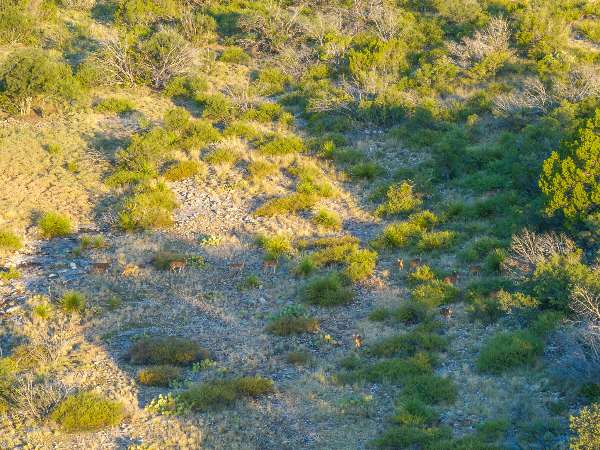Tbd Windmill Road Property Photo 13