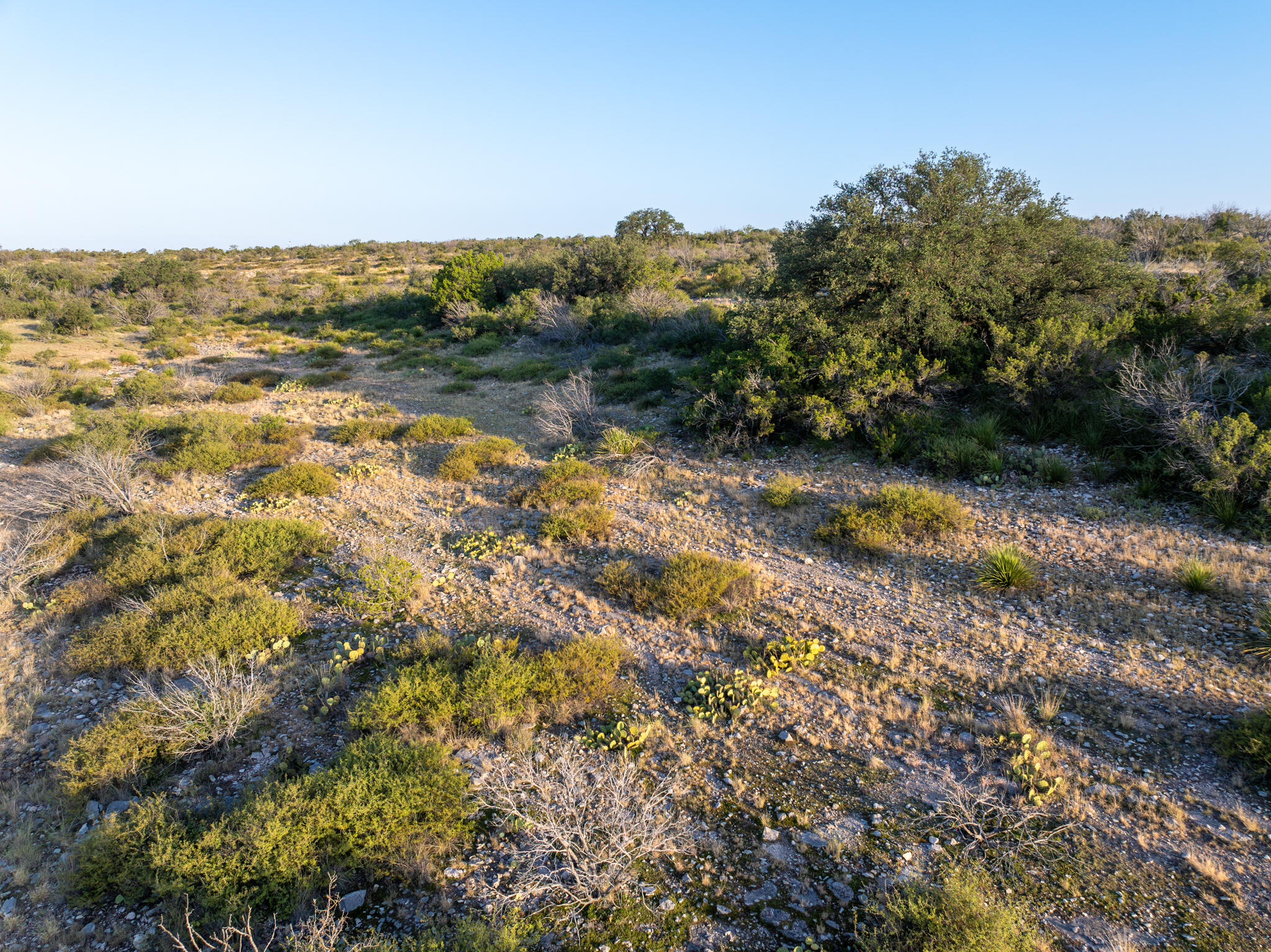 Tbd Windmill Road Property Photo 15