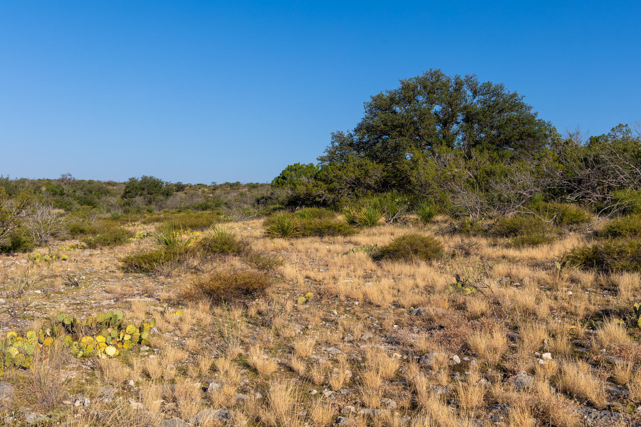 Tbd Windmill Road Property Photo 17