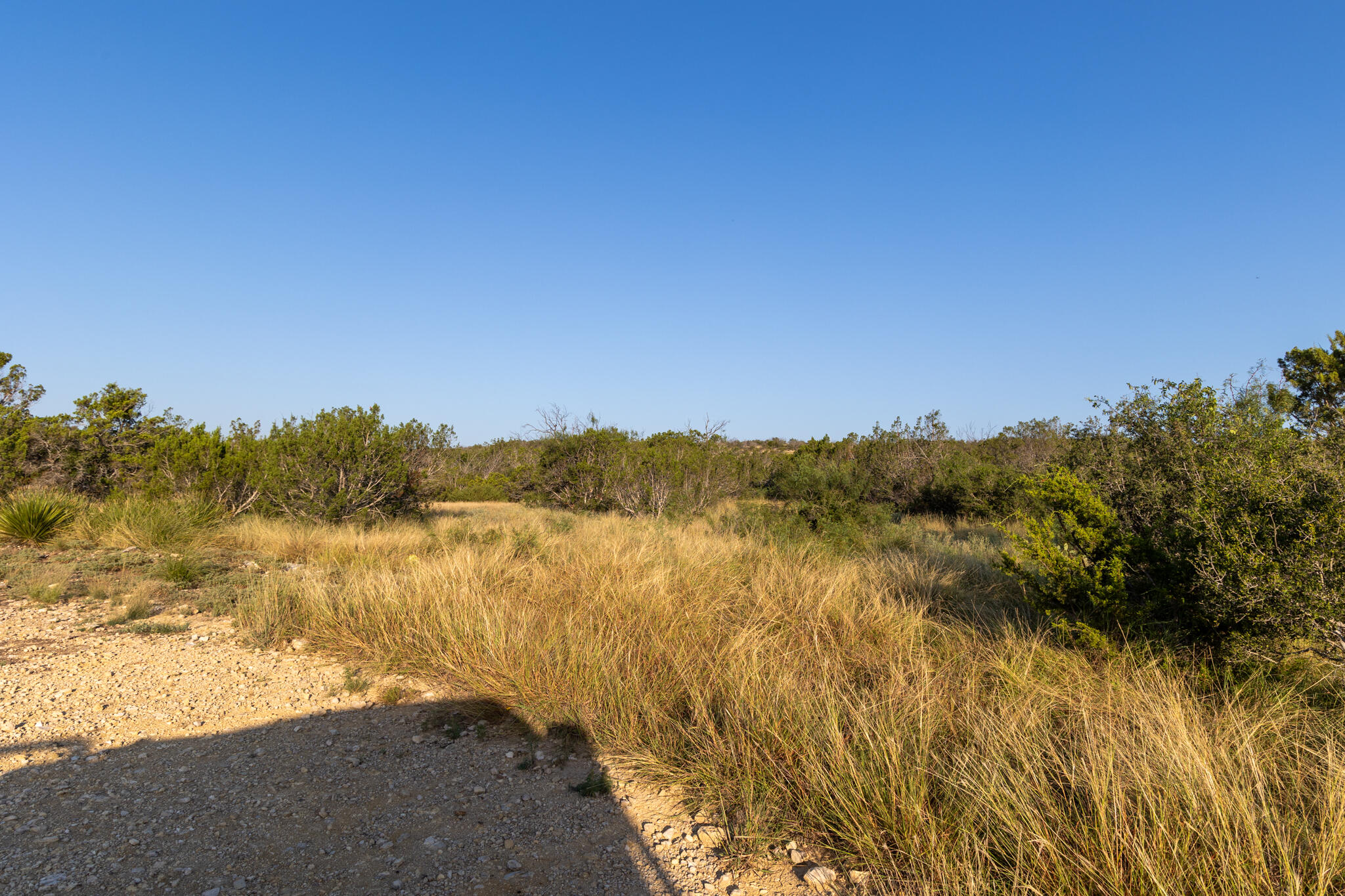 Tbd Windmill Road Property Photo 20