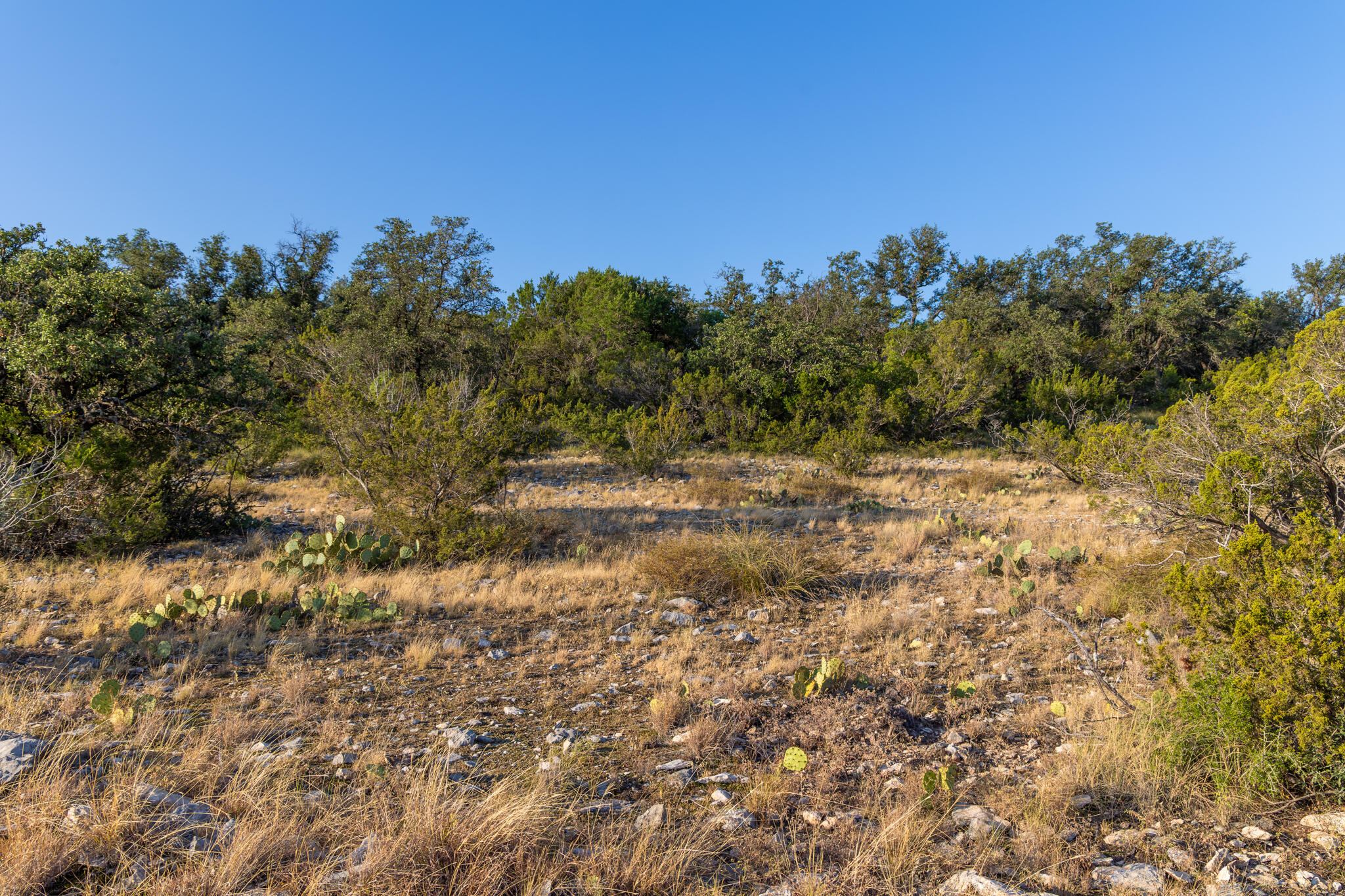 Tbd Windmill Road Property Photo 22
