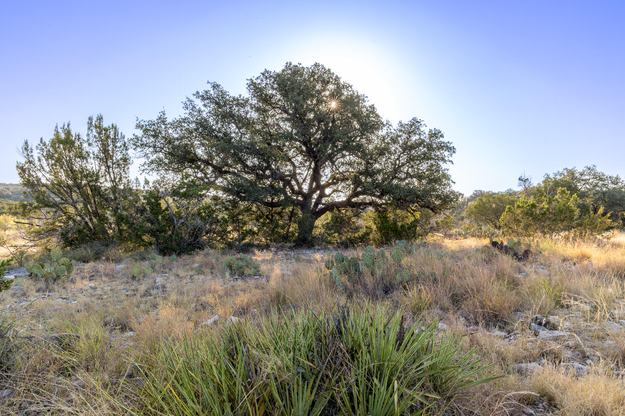 Tbd Windmill Road Property Photo 24