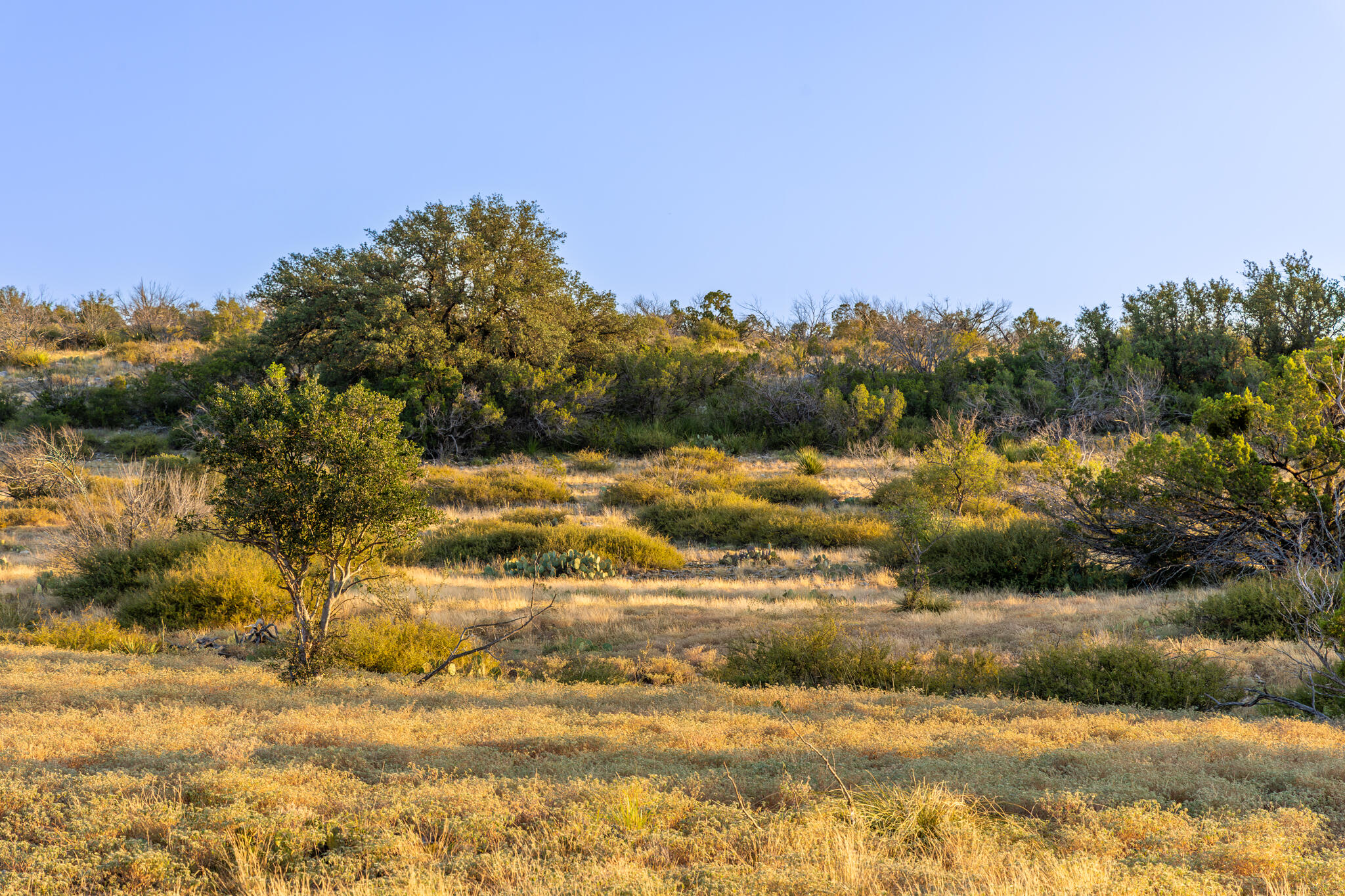 Tbd Windmill Road Property Photo 26