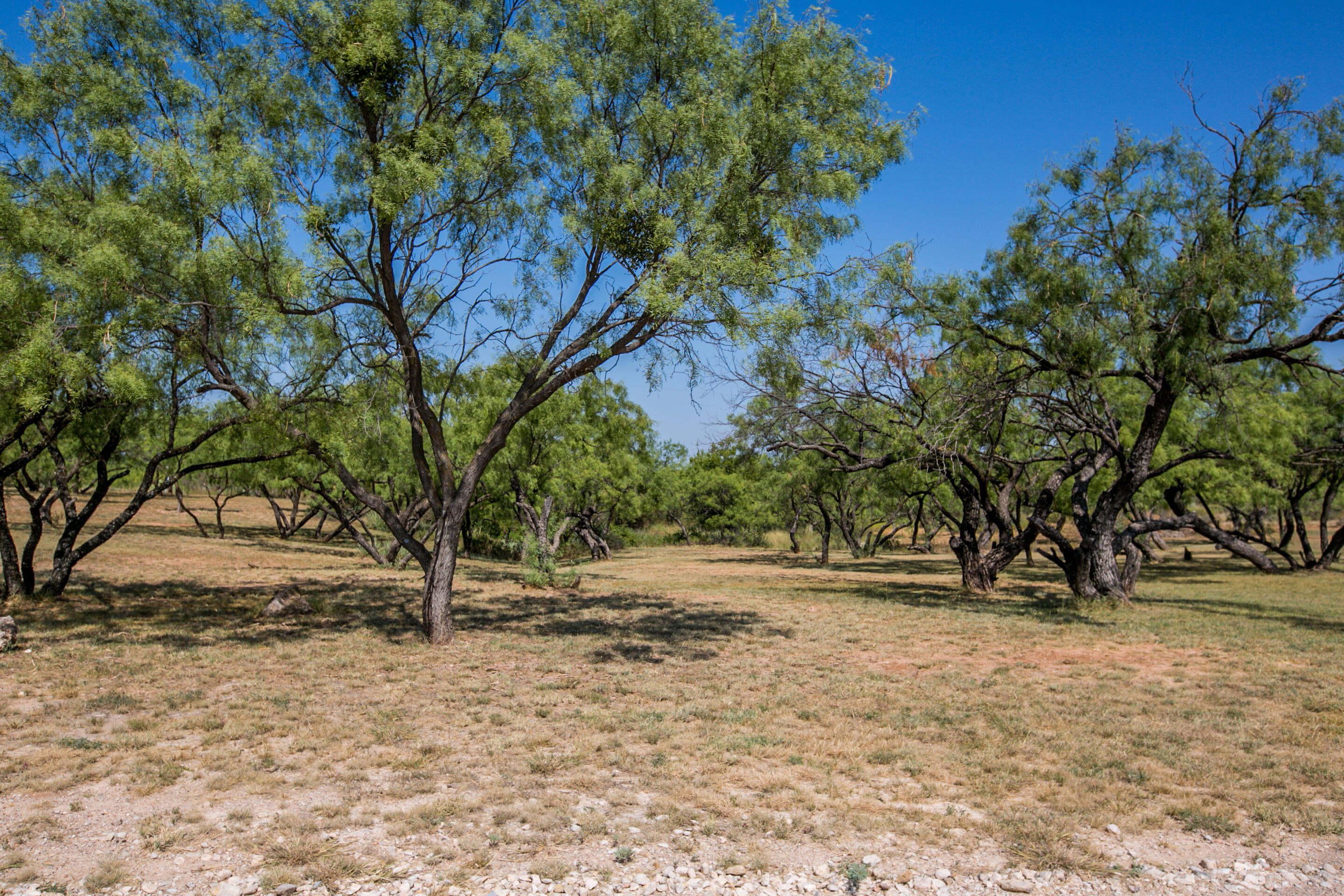 629 Co Rd 356 Property Photo 53